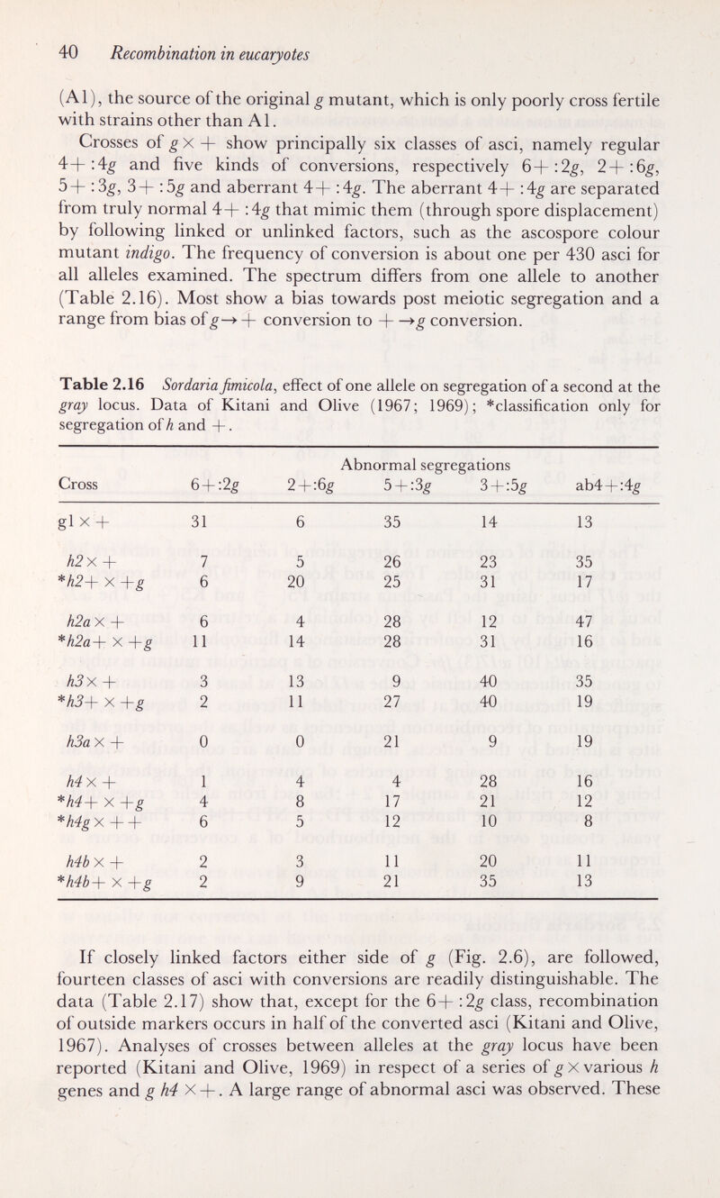 40 Recombination in eucaryotes (Al), the source of the original g mutant, which is only poorly cross fertile with strains other than Al. Crosses of ^ X show principally six classes of asci, namely regular and five kinds of conversions, respectively 6+:2^, 2+:6¿^, 3 + :5^ and aberrant 4+ -Ag. The aberrant 4+ -Ag are separated from truly normal 4+ 'Ag that mimic them (through spore displacement) by following linked or unlinked factors, such as the ascospore colour mutant indigo. The frequency of conversion is about one per 430 asci for all alleles examined. The spectrum differs from one allele to another (Table 2.16). Most show a bias towards post meiotic segregation and a range from bias of_g—>+ conversion to H—>g conversion. Table 2.16 Sordaria fimicola, effect of one allele on segregation of a second at the gray locus. Data of Kitani and Olive (1967; 1969) ; * classification only for segregation of h and +. If closely linked factors either side of g (Fig. 2.6), are followed, fourteen classes of asci with conversions are readily distinguishable. The data (Table 2.17) show that, except for the 6+ \ 2g class, recombination of outside markers occurs in half of the converted asci (Kitani and Olive, 1967). Analyses of crosses between alleles at the gray locus have been reported (Kitani and Olive, 1969) in respect of a series of various h genes and gh4 У.^. A large range of abnormal asci was observed. These