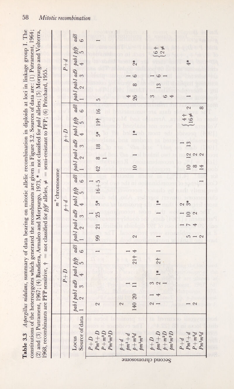 58 Mitotic recombination ^ ЛГ ^ L-1 Й a> Ö S с 3 <u 2 S be g tí ЬО 3 rt Рн Й й ^ ;-| •« 03 о OS ctì О •тз • »H _о « и о 11 3 о с сл e о со '5 ci il с 3 3 .ьр- s Я с о > тз с (й о Ы) . Ь 5 Он а> S -H ^ cd ю j:3 ^ U , ^ -w ^ CLh V ^ 12 Рч 5 fe ÍH  í5 о Ч—« 'О ti U й 4=!. Й г: й « •У > 13 ■& д Ü (Й >2 Cd •У я о fí .й б| §1 bß CJ С ^ ^ л. íí D fXH 03 S ti ^ i2 T3 fcH ?á o Й ^ (ü >> bß il ¡•^ ■ §3 1> !-H S V s о J ^ ■§ о f KM qj p§ л о ся й о со 11ч С/Г f-H V o'â ^ и cx^S; -о О G ,íí (й ¡Я О й J о s s 2 < G «Г II (h •H -f- O „ Й ej j5 > CQ ;5 '-r-^ 'от ^ Й ^ и M ■ 0H 2 S <U Ui cd en со a> -i H ^ a со о ^ (J Й , cd со Oí <У> + _|_ «S Ю Ю « ^ «3 СО -CS -Çi, CM 53 -Çi,—H LO Ci Q co •«Ci <s <5 «3 Q (£> cS; Ю -<5 Ç3 ^ 25 <3 со •<b « •Çi^CM Й « со •^lO -ç> -Ф Q СО <b <3 -5х,с>; ^3 cd •w cd qj ::} и о о hJ c/Í 05 « m со со csí rh ю + C£> •х- ю ю сч сч СП СП csr q q q I eo w s s q .. ^ a^ a, Û, cu, * CM (Г! со ■Ф <£> CM CM еч о см см -*а -та I N N -« + S S + s + s -Çi, -Ci, -ç^ -Ci, cr> -H co co Ю 'Ф сч * со с\г CSÍ ^ q q q q + g s + s + s ^ «i, -«i. * CSf со 4-Us -ф ю со Cví CM сч о со -ф * ся со о сч Г^ ф Ю ^ Oí Oí I (М (М •^ + s s iîiî эшозошод^э риоээ§