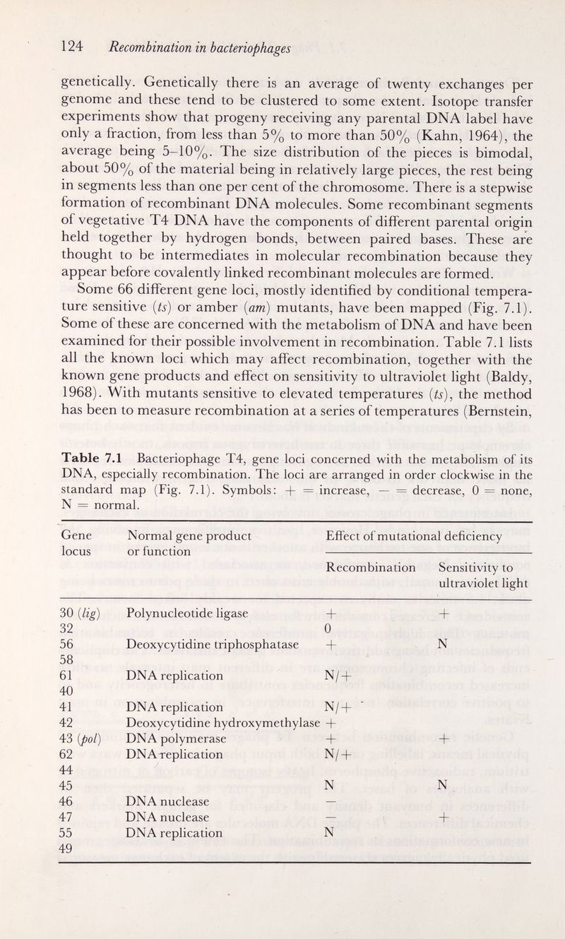 124 Recombination in bacteriophages genetically. Genetically there is an average of twenty exchanges per genome and these tend to be clustered to some extent. Isotope transfer experiments show that progeny receiving any parental DNA label have only a fraction, from less than 5% to more than 50% (Kahn, 1964), the average being 5-10%. The size distribution of the pieces is bimodal, about 50% of the material being in relatively large pieces, the rest being in segments less than one per cent of the chromosome. There is a stepwise formation of recombinant DNA molecules. Some recombinant segments of vegetative T4 DNA have the components of different parental origin held together by hydrogen bonds, between paired bases. These are thought to be intermediates in molecular recombination because they appear before covalently linked recombinant molecules are formed. Some 66 different gene loci, mostly identified by conditional tempera¬ ture sensitive [is) or amber {am) mutants, have been mapped (Fig. 7.1). Some of these are concerned with the metabolism of DNA and have been examined for their possible involvement in recombination. Table 7.1 lists all the known loci which may affect recombination, together with the known gene products and effect on sensitivity to ultraviolet light (Baldy, 1968). With mutants sensitive to elevated temperatures {ts), the method has been to measure recombination at a series of temperatures (Bernstein, Table 7.1 Bacteriophage T4, gene loci concerned with the metabolism of its DNA, especially recombination. The loci are arranged in order clockwise in the standard map (Fig. 7.1). Symbols; + = increase, — = decrease, 0 = none, N = normal.