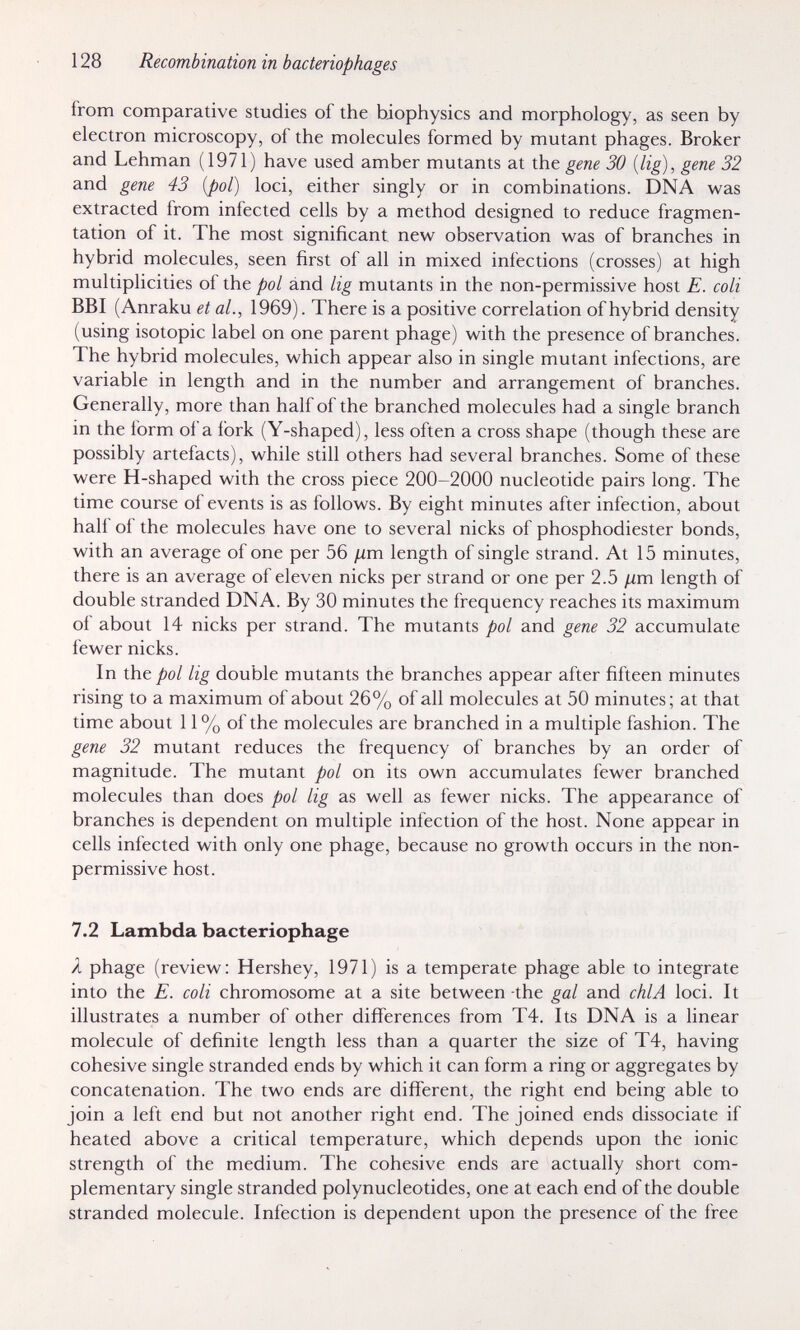 128 Recombination in bacteriophages from comparative studies of the biophysics and morphology, as seen by electron microscopy, of the molecules formed by mutant phages. Broker and Lehman (1971) have used amber mutants at the gene 30 {lig), gene 32 and gene 43 {pol) loci, either singly or in combinations. DNA was extracted from infected cells by a method designed to reduce fragmen¬ tation of it. The most significant new observation was of branches in hybrid molecules, seen first of all in mixed infections (crosses) at high multiplicities of the pol and lig mutants in the non-permissive host E. coli BBI (Anraku et al., 1969). There is a positive correlation of hybrid density (using isotopie label on one parent phage) with the presence of branches. The hybrid molecules, which appear also in single mutant infections, are variable in length and in the number and arrangement of branches. Generally, more than half of the branched molecules had a single branch in the form of a fork (Y-shaped), less often a cross shape (though these are possibly artefacts), while still others had several branches. Some of these were H-shaped with the cross piece 200-2000 nucleotide pairs long. The time course of events is as follows. By eight minutes after infection, about half of the molecules have one to several nicks of phosphodiester bonds, with an average of one per 56 цт length of single strand. At 15 minutes, there is an average of eleven nicks per strand or one per 2.5 цт length of double stranded DNA. By 30 minutes the frequency reaches its maximum of about 14 nicks per strand. The mutants pol and gene 32 accumulate fewer nicks. In the pal lig double mutants the branches appear after fifteen minutes rising to a maximum of about 26% of all molecules at 50 minutes; at that time about 11% of the molecules are branched in a multiple fashion. The gene 32 mutant reduces the frequency of branches by an order of magnitude. The mutant pol on its own accumulates fewer branched molecules than does pol lig as well as fewer nicks. The appearance of branches is dependent on multiple infection of the host. None appear in cells infected with only one phage, because no growth occurs in the non- permissive host. 7.2 Lambda bacteriophage X phage (review: Hershey, 1971) is a temperate phage able to integrate into the E. coli chromosome at a site between the gal and chlA loci. It illustrates a number of other differences from T4. Its DNA is a linear molecule of definite length less than a quarter the size of T4, having cohesive single stranded ends by which it can form a ring or aggregates by concatenation. The two ends are different, the right end being able to join a left end but not another right end. The joined ends dissociate if heated above a critical temperature, which depends upon the ionic strength of the medium. The cohesive ends are actually short com¬ plementary single stranded polynucleotides, one at each end of the double stranded molecule. Infection is dependent upon the presence of the free