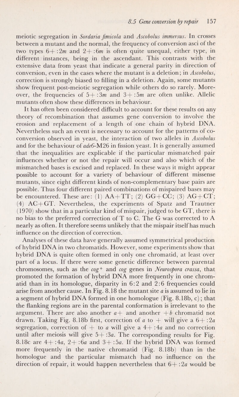 8.5 Gene conversion by repair 157 meiotic segregation in Sordaria fimicola and Ascobolus immersus. In crosses between a mutant and the normal, the frequency of conversion asci of the two types 6+;2m and 2+:6m is often quite unequal, either type, in different instances, being in the ascendant. This contrasts with the extensive data from yeast that indicate a general parity in direction of conversion, even in the cases where the mutant is a deletion; in Ascobolus, correction is strongly biased to filling in a deletion. Again, some mutants show frequent post-meiotic segregation while others do so rarely. More¬ over, the frequencies of 5+:3m and 3+:5m are often unlike. Allelic mutants often show these differences in behaviour. It has often been considered difficult to account for these results on any theory of recombination that assumes gene conversion to involve the erosion and replacement of a length of one chain of hybrid DNA. Nevertheless such an event is necessary to account for the patterns of co- conversion observed in yeast, the interaction of two alleles in Ascobolus and for the behaviour of í2í/¿^-M26 in fission yeast. It is generally assumed that the inequalities are explicable if the particular mismatched pair influences whether or not the repair will occur and also which of the mismatched bases is excised and replaced. In these ways it might appear possible to account for a variety of behaviour of different missense mutants, since eight different kinds of non-complementary base pairs are possible. Thus four different paired combinations of mispaired bases may be encountered. These are: (1) AA+TT; (2) GG+CC; (3) AG+CT; (4) AC + GT. Nevertheless, the experiments of Spatz and Trautner (1970) show that in a particular kind of mispair, judged to be GT, there is no bias to the preferred correction of T to G. The G was corrected to A nearly as often. It therefore seems unlikely that the mispair itself has much influence on the direction of correction. Analyses of these data have generally assumed symmetrical production of hybrid DNA in two chromatids. However, some experiments show that hybrid DNA is quite often formed in only one chromatid, at least over part of a locus. If there were some genetic difference between parental chromosomes, such as the cog+ and cog genes in Neurospora crassa, that promoted the formation of hybrid DNA more frequently in one chrom¬ atid than in its homologue, disparity in 6:2 and 2:6 frequencies could arise from another cause. In Fig. 8.18 the mutant site a is assumed to lie in a segment of hybrid DNA formed in one homologue (Fig. 8.18b, c) ; that the flanking regions are in the parental conformation is irrelevant to the argument. There aré also another й+ and another chromatid not drawn. Taking Fig. 8.18b first, correction of й to + will give a 6+ :2й segregation, correction of + to й will give a 4+ :4a and no correction until after meiosis will give 5+ :Зй. The corresponding results for Fig. 8.18c are 4+ :4й, 2+ :6й and 3+ :5й. If the hybrid DNA was formed more frequently in the native chromatid (Fig. 8.18b) than in the homologue and the particular mismatch had no influence on the direction of repair, it would happen nevertheless that 6+ :2a would be