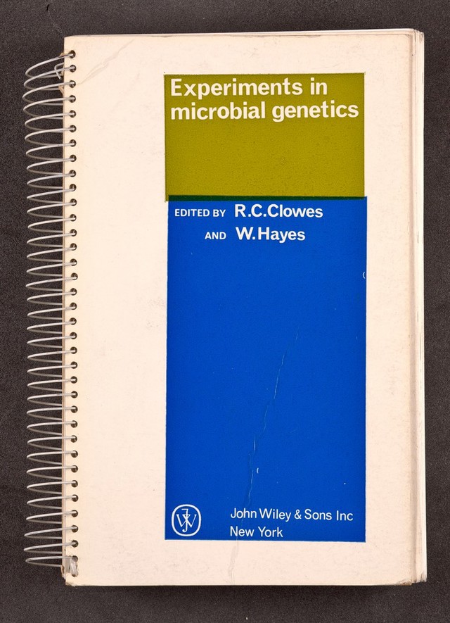 No text description is available for this image