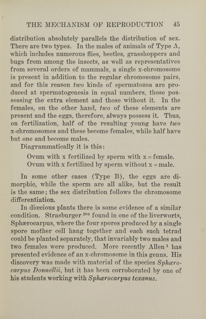 ! THE MECHANISM OF EEPEODUCTION 45 distribution absolutely parallels the distribution of sex. There are two types. In the males of animals of Type A, which includes numerous flies, beetles, grasshoppers and bugs from among the insects, as well as representatives from several orders of mammals, a single x-chromosome is present in addition to the regular chromosome pairs, and for this reason two kinds of spermatozoa are pro¬ duced at spermatogenesis in equal numbers, those pos¬ sessing the extra element and those without it. In the females, on the other hand, two of these elements are present and the eggs, therefore, always possess it. Thus, on fertilization, half of the resulting young have two x-chromosomes and these become females, while half have but one and become males. Diagrammatically it is this : Ovum with X fertilized by sperm with x = female. Ovum with X fertilized by sperm without x = male. In some other cases (Type B), the eggs are di¬ morphic, while the sperm are all alike, but the result is the same ; the sex distribution follows the chromosome differentiation. In dioecious plants there is some evidence of a similar condition. Strasburger found in one of the liverworts, Sphasrocarpus, where the four spores produced by a single spore mother cell hang together and each such tetrad could be planted separately, that invariably two males and two females were produced. More recently Allen ^ has presented evidence of an x-chromosome in this genus. His discovery was made with material of the species Sphœro- carpus Donneila, but it has been corroborated by one of his students working with Sphœrocarpus texanus.