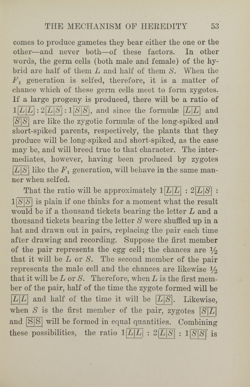 THE MECHANISM OF HEREDITY 53 comes to produce gametes they bear either the one or the other—and never both—of these factors. In other words, the germ cells (both male and female) of the hy¬ brid are half of them L and half of them 8. When the generation is selfed, therefore, it is a matter of chance which of these germ cells meet to form zygotes. If a large progeny is produced, there will be a ratio of and since the formulae 1L|L|:2L|Ò'|:1I^ LILI and S\S\ are like the zygotic formulae of the long-spiked and short-spiked parents, respectively, the plants that they produce will be long-spiked and short-spiked, as the case may be, and will breed true to that character. The inter¬ mediates, however, having been produced by zygotes |L|¿>'| like the generation, will behave in the same man¬ ner when selfed. That the ratio will be approximately 1 lL|L : 2 L\S\ l|,6'|ò'j is plain if one thinks for a moment what the result would be if a thousand tickets bearing the letter L and a thousand tickets bearing the letter S were shuffled up in a hat and drawn out in pairs, replacing the pair each time after drawing and recording. Suppose the first member of the pair represents the egg cell; the chances are y¿ that it will be L or S. The second member of the pair represents the male cell and the chances are likewise У2 that it will be L or S. Therefore, луЬеп L is the first mem¬ ber of the pair, half of the time the zygote formed will be L|L| and half of the time it will be \L\S\. Likewise, when S is the first member of the pair, zygotes S L and |S|S| will be formed in equal quantities. Combining these possibilities, the ratio 1|L|L[ : 2|L|aS'| : is
