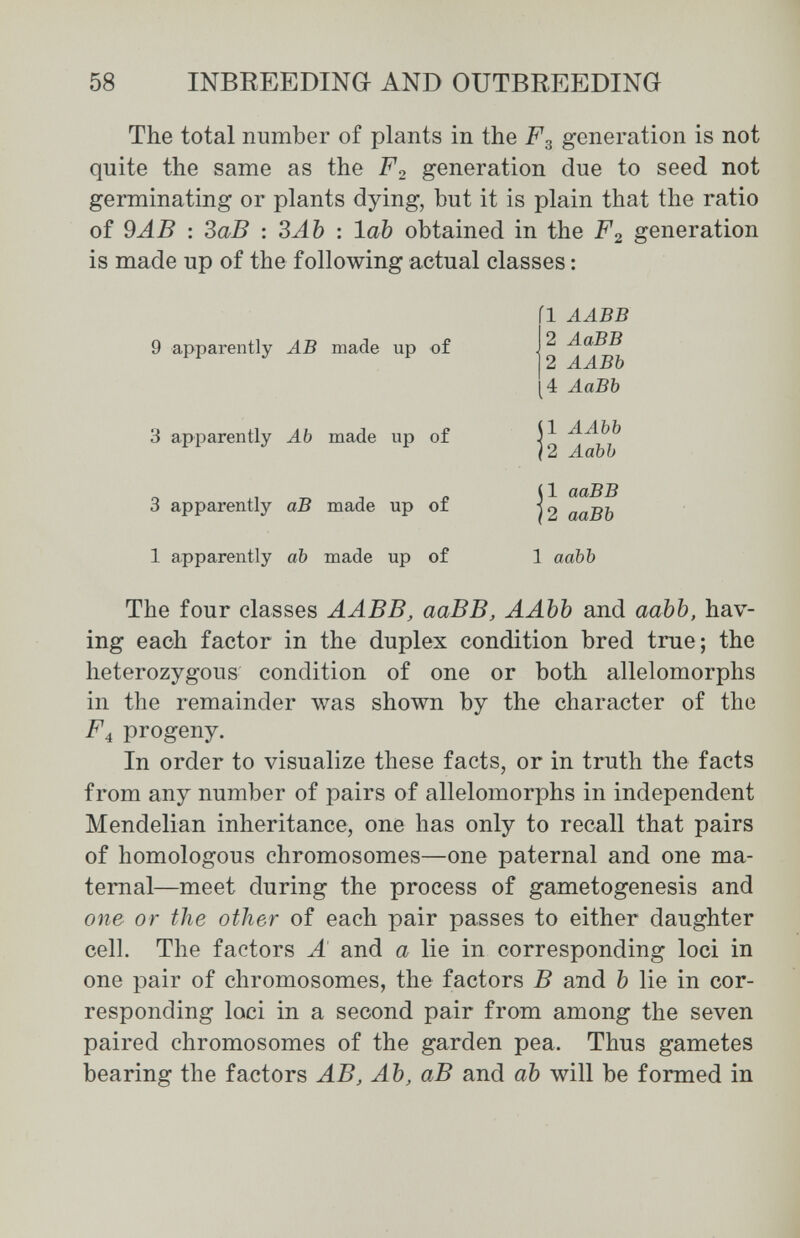 58 INBREEDINa AND OUTBREEDING The total number of plants in the generation is not quite the same as the F2 generation due to seed not germinating or plants dying, but it is plain that the ratio of 9AB : ЗаВ : ЗАЪ : lab obtained in the F2 generation is made up of the following actual classes : 9 apparently AB made up of Í1 AABB 2 AaBB 2 ААВЪ 4 АаВЪ 1 ААЪЪ 2 АаЪЬ 3 apparently АЪ made up of | 3 apparently аВ made up of | 1 apparently ab made up of 1 ааЪЪ 1 ааВВ 2 ааВЪ The four classes AABB, ааВВ, ААЪЪ and ааЬЪ, hav¬ ing each factor in the duplex condition bred true; the heterozygous condition of one or both allelomorphs in the remainder was shown by the character of the F4^ progeny. In order to visualize these facts, or in truth the facts from any number of pairs of allelomorphs in independent Mendelian inheritance, one has only to recall that pairs of homologous chromosomes—one paternal and one ma¬ ternal—meet during the process of gametogenesis and one or the other of each pair passes to either daughter cell. The factors A and a lie in corresponding loci in one pair of chromosomes, the factors В and Ъ lie in cor¬ responding loci in a second pair from among the seven paired chromosomes of the garden pea. Thus gametes bearing the factors AB, АЪ, аВ and аЪ will be formed in