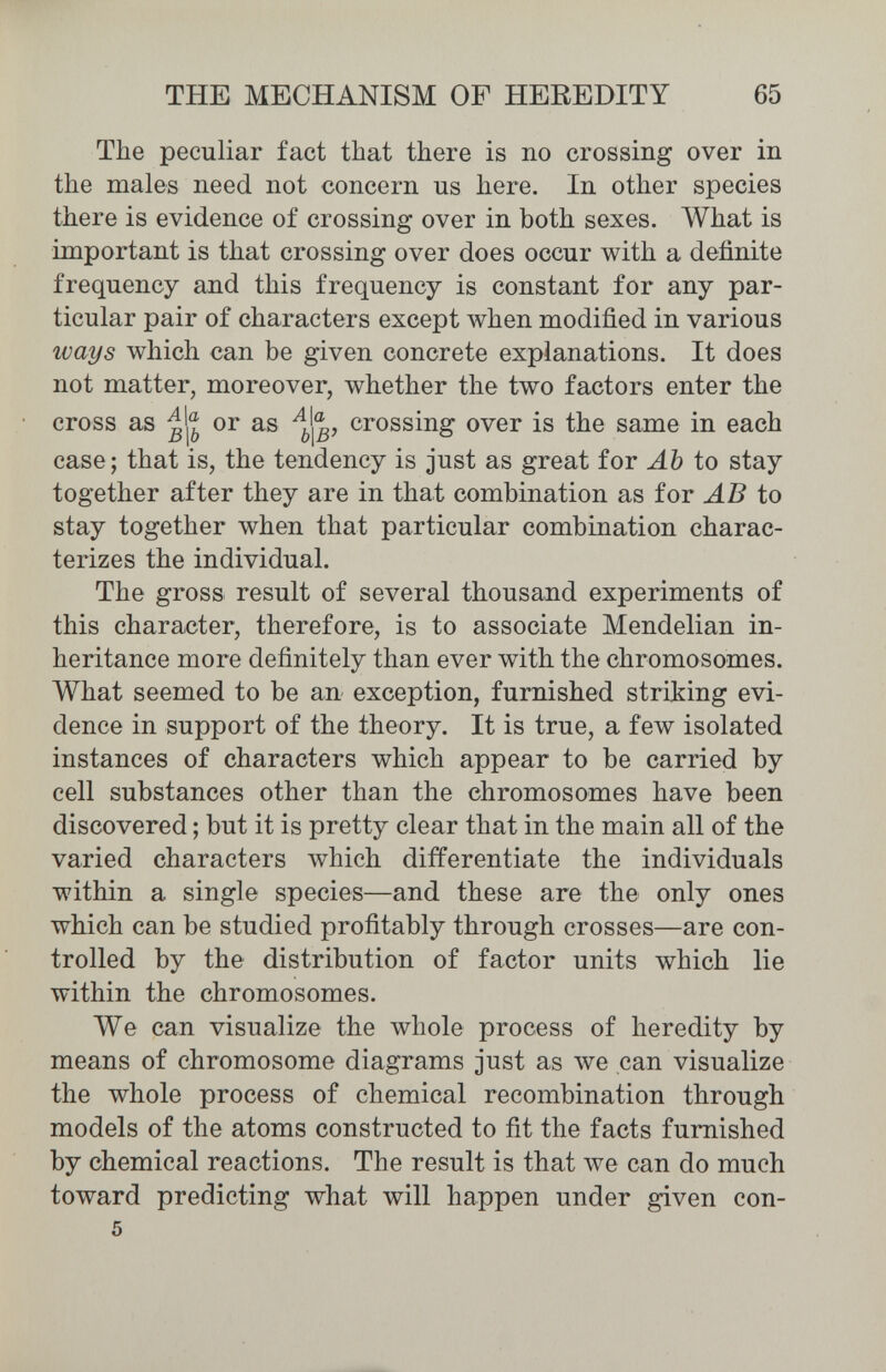 THE MECHANISM OF HEREDITY 65 The peculiar fact that there is no crossing over in the males need not concern us here. In other species there is evidence of crossing over in both sexes. What is important is that crossing over does occur with a definite frequency and this frequency is constant for any par¬ ticular pair of characters except when modified in various ways which can be given concrete explanations. It does not matter, moreover, whether the two factors enter the cross as or as crossing over is the same in each case; that is, the tendency is just as great for Ah to stay together after they are in that combination as for AB to stay together when that particular combination charac¬ terizes the individual. The gross result of several thousand experiments of this character, therefore, is to associate Mendelian in¬ heritance more definitely than ever with the chromosomes. What seemed to be an exception, furnished striking evi¬ dence in support of the theory. It is true, a few isolated instances of characters which appear to be carried by cell substances other than the chromosomes have been discovered ; but it is pretty clear that in the main all of the varied characters which differentiate the individuals within a single species—and these are the only ones which can be studied profitably through crosses—are con¬ trolled by the distribution of factor units which lie within the chromosomes. We can visualize the whole process of heredity by means of chromosome diagrams just as we can visualize the whole process of chemical recombination through models of the atoms constructed to fit the facts furnished by chemical reactions. The result is that we can do much toward predicting what will happen under given con- 5