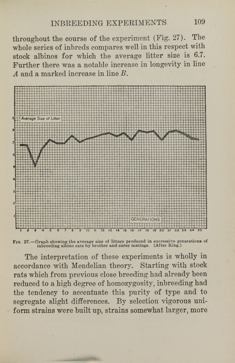 INBREEDING EXPERIMENTS 109 throughout the course of the experiment (Fig. 27). The whole series of inbreds compares well in this respect with stock albinos for which the average litter size is 6.7. Further there was a notable increase in longevity in line A and a marked increase in line B. Fig. 27.—Graph showing the average size of litters produced in successive generations of inbreeding albino rats by brother and sister matings. (After King.) The interpretation of these experiments is wholly in accordance with Mendelian theory. Starting with stock rats which from previous close breeding had already been reduced to a high degree of homozygosity, inbreeding had the tendency to accentuate this purity of type and to segregate slight differences. By selection vigorous uni¬ form strains were built up, strains somewhat larger, more