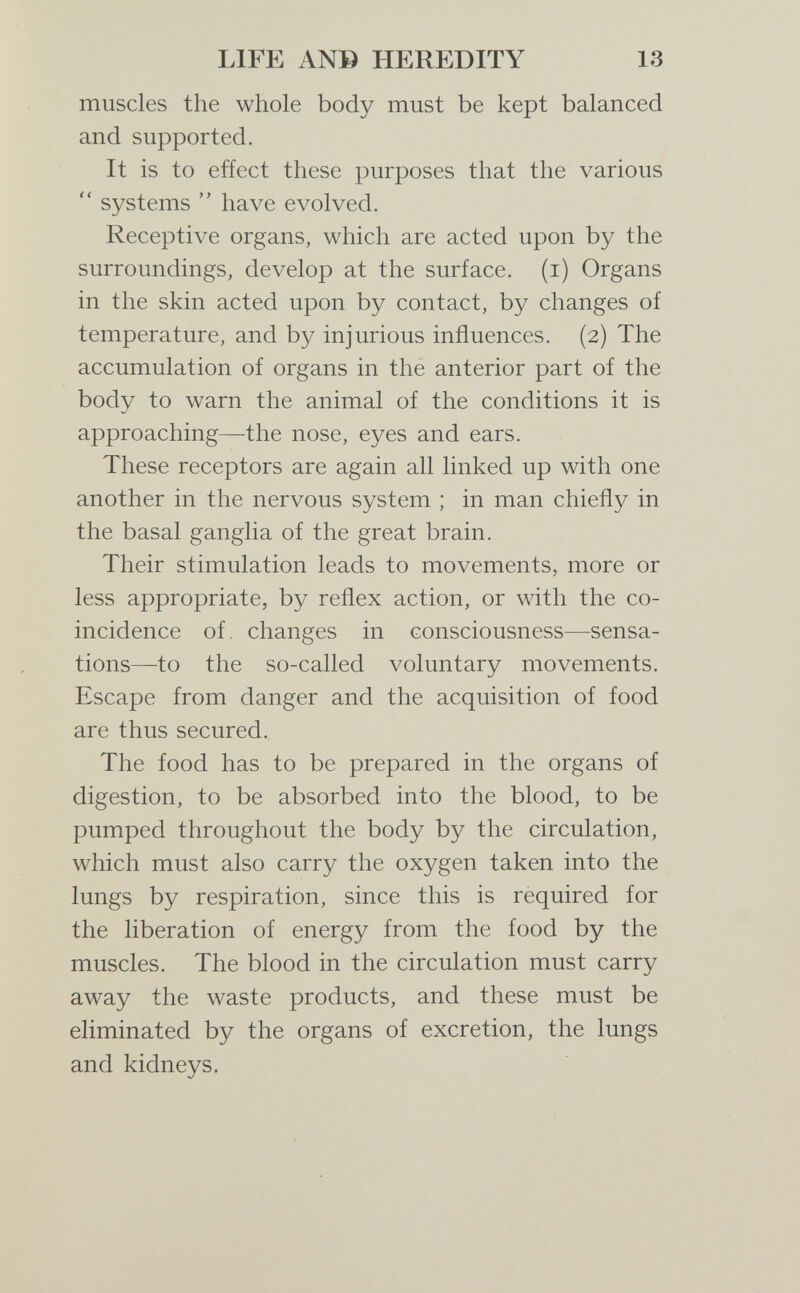 LIFE AN© HEREDITY 13 muscles the whole body must be kept balanced and supported. It is to effect these purposes that the various  systems  have evolved. Receptive organs, which are acted upon by the surroundings, develop at the surface, (i) Organs in the skin acted upon by contact, by changes of temperature, and by injurious influences. (2) The accumulation of organs in the anterior part of the body to warn the animal of the conditions it is approaching—the nose, eyes and ears. These receptors are again all linked up with one another in the nervous system ; in man chiefly in the basal ganglia of the great brain. Their stimulation leads to movements, more or less appropriate, by reflex action, or with the co¬ incidence of. changes in consciousness—sensa¬ tions—to the so-called voluntary movements. Escape from danger and the acquisition of food are thus secured. The food has to be prepared in the organs of digestion, to be absorbed into the blood, to be pumped throughout the body by the circulation, which must also carry the oxygen taken into the lungs by respiration, since this is required for the liberation of energy from the food by the muscles. The blood in the circulation must carry away the waste products, and these must be eliminated by the organs of excretion, the lungs and kidneys.