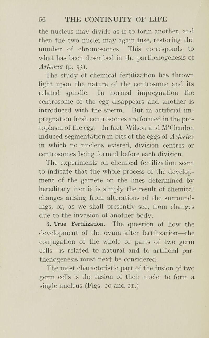 56 THE CONTINUITY OF LIFE the nucleus may divide as if to form another, and then the two nuclei may again fuse, restoring the number of chromosomes. This corresponds to what has been described in the parthenogenesis of Artemia (p. 53). The study of chemical fertilization has thrown light upon the nature of the centrosome and its related spindle. In normal impregnation the centrosome of the egg disappears and another is introduced with the sperm. But in artificial im¬ pregnation fresh centrosomes are formed in the pro¬ toplasm of the egg. In fact, Wilson and M'Clendon induced segmentation in bits of the eggs of Asterias in which no nucleus existed, division centres or centrosomes being formed before each division. The experiments on chemical fertilization seem to indicate that the whole process of the develop¬ ment of the gamete on the lines determined by hereditary inertia is simply the result of chemical changes arising from alterations of the surround¬ ings, or, as we shall presently see, from changes due to the invasion of another body. 3. True Fertilization. The question of how the development of the ovum after fertilization—the conjugation of the whole or parts of two germ cells—is related to natural and to artificial par¬ thenogenesis must next be considered. The most characteristic part of the fusion of two germ cells is the fusion of their nuclei to form a single nucleus (Figs. 20 and 21.)