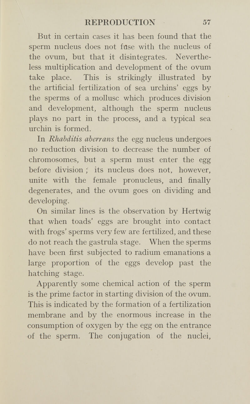 REPRODUCTION 57 But in certain cases it has been found that the sperm nucleus does not fuse with the nucleus of the ovum, but that it disintegrates. Neverthe¬ less multiplication and development of the ovum take place. This is strikingly illustrated by the artificial fertilization of sea urchins' eggs by the sperms of a mollusc which produces division and development, although the sperm nucleus plays no part in the process, and a typical sea urchin is formed. In Rhabditis aberrans the egg nucleus undergoes no reduction division to decrease the number of chromosomes, but a sperm must enter the egg before division ; its nucleus does not, however, unite with the female pronucleus, and finally degenerates, and the ovum goes on dividing and developing. On similar lines is the observation by Hertwig that when toads' eggs are brought into contact with frogs' sperms very few are fertilized, and these do not reach the gastrula stage. When the sperms have been first subjected to radium emanations a large proportion of the eggs develop past the hatching stage. Apparently some chemical action of the sperm is the prime factor in starting division of the ovum. This is indicated by the formation of a fertilization membrane and by the enormous increase in the consumption of oxygen by the egg on the entrance of the sperm. The conjugation of the nuclei.