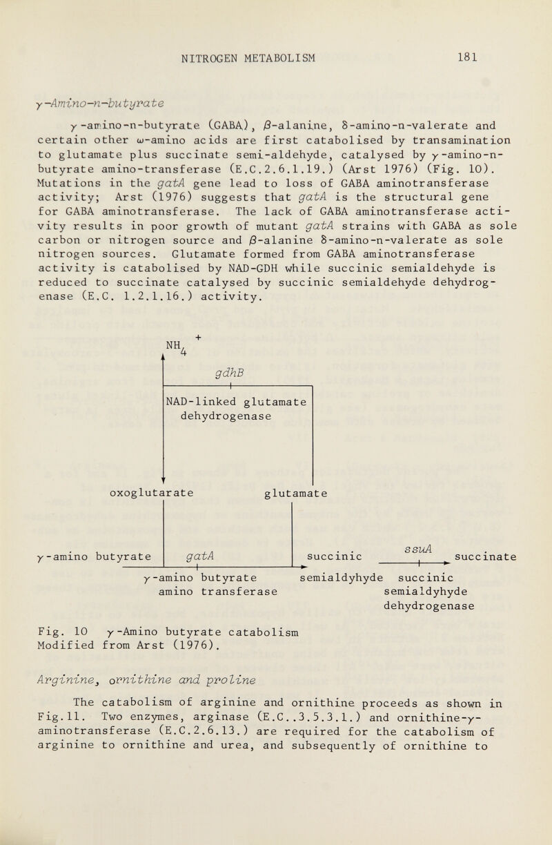 nitrogen metabolism 181 y-Amino-n-butyvate У-amino-n-butyrate ССАВД), /З-alanine, S-amino-n-valerate and certain other ш-атп1по acids are first catabolised by transamination to glutamate plus succinate semi-aldehyde, catalysed by y-amino-n- butyrate amino-transferase (E.С.2.6,1.19.) (Arst 1976) (Fig. 10). Mutations in the gatA gene lead to loss of GABA aminotransferase activity; Arst (1976) suggests that gatA is the structural gene for GABA aminotransferase. The lack of GABA aminotransferase acti¬ vity results in poor growth of mutant gatA strains with GABA as sole carbon or nitrogen source and /S-alanine 8-amino-n-val erat e as sole nitrogen sources. Glutamate formed from GABA aminotransferase activity is catabolised by NAD-GDH while succinic semialdehyde is reduced to succinate catalysed by succinic semialdehyde dehydrog¬ enase (e.g. 1.2.1.16.) activity. nh, 4 gdhB 1— NAD-linked glutamate dehydrogenase oxoglutarate /-amino butyrate glutamate gatA —I succinic ssuA succinate /-amino butyrate semialdyhyde succinic amino transferase semialdyhyde dehydrogenase Fig. 10 /-Amino butyrate catabolism Modified from Arst (1976). Avgin-inej o'^ni-thine and ^voline The catabolism of arginine and ornithine proceeds as shown in Fig.11. Two enzymes, arginase (E.G..3.5.3.1.) and ornithine-/- aminotransferase (E.G.2,6.13.) are required for the catabolism of arginine to ornithine and urea, and subsequently of ornithine to