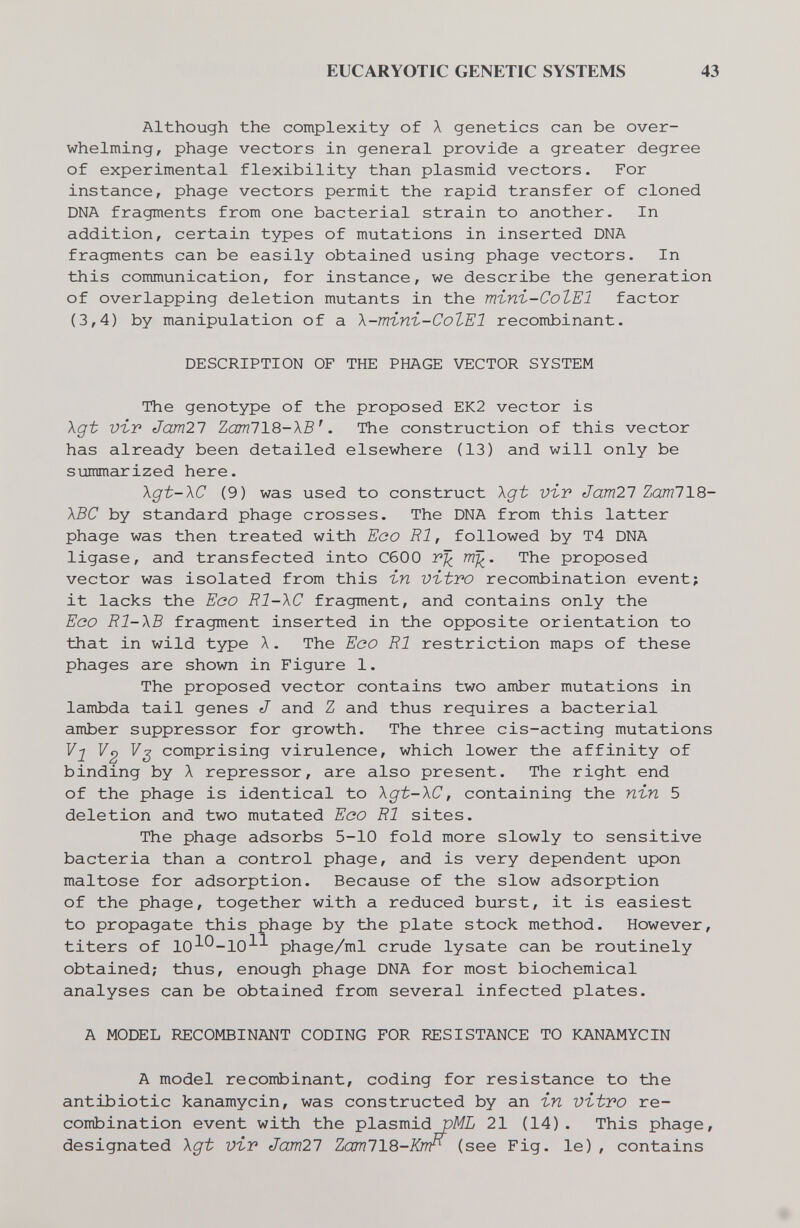 EUCARYOTIC GENETIC SYSTEMS 43 Although the complexity of \ genetics can be over¬ whelming, phage vectors in general provide a greater degree of experimental flexibility than plasmid vectors. For instance, phage vectors permit the rapid transfer of cloned DNA fragments from one bacterial strain to another. In addition, certain types of mutations in inserted DNA fragments can be easily obtained using phage vectors. In this communication, for instance, we describe the generation of overlapping deletion mutants in the тъпъ-СоЪЕ! factor (3,4) by manipulation of a \-тъпг-СоЪЕ1 recombinant. DESCRIPTION OF THE PHAGE VECTOR SYSTEM The genotype of the proposed EK2 vector is Xgt Vbv Jam21 ZamllQ-\B'. The construction of this vector has already been detailed elsewhere (13) and will only be siommarized here. \gt-\C (9) was used to construct Xgt viv Jamil ZamllS- \BC by standard phage crosses. The DNA from this latter phage was then treated with Eco RI, followed by T4 DNA ligase, and transfected into СбОО rrij^. The proposed vector was isolated from this ъп vitro recombination event; it lacks the Eco Rl-XC fragment, and contains only the Eco Rl-XB fragment inserted in the opposite orientation to that in wild type X. The Eco RI restriction maps of these phages are shown in Figure 1. The proposed vector contains two amber mutations in lambda tail genes J and Z and thus requires a bacterial amber suppressor for growth. The three cis-acting mutations Vl 7^ Vj comprising virulence, which lower the affinity of binding by A repressor, are also present. The right end of the phage is identical to Xgt-XC, containing the пгп 5 deletion and two mutated Eoo RI sites. The phage adsorbs 5-10 fold more slowly to sensitive bacteria than a control phage, and is very dependent upon maltose for adsorption. Because of the slow adsorption of the phage, together with a reduced burst, it is easiest to propagate this phage by the plate stock method. However, titers of 10^*^-10^^ phage/ml crude lysate can be routinely obtained; thus, enough phage DNA for most biochemical analyses can be obtained from several infected plates. A MODEL RECOMBINANT CODING FOR RESISTANCE TO KANAMYCIN A model recombinant, coding for resistance to the antibiotic kanamycin, was constructed by an in vitro re¬ combination event with the plasmid pML 21 (14). This phage, designated Xgt vir Jam21 ZconllS-Kirr (see Fig. le) , contains