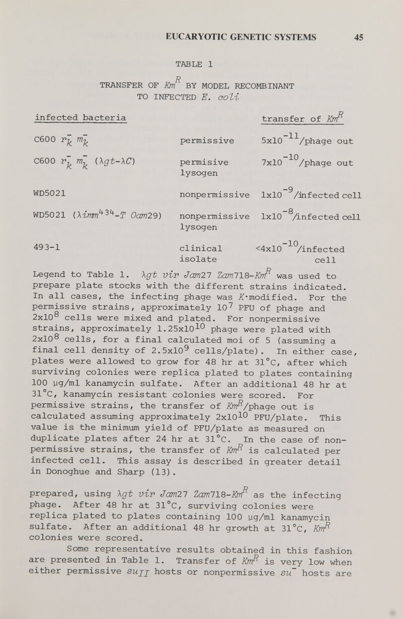 EUCARYOTIC GENETIC SYSTEMS 45 TABLE 1 n TRANSFER OF Km BY MODEL RECOMBINANT TO INFECTED E. coli infected bacteria СбОО С600 (Xgt-XC) WD5021 permissive permisive lysogen nonpe rmi s s ive nonpennissive lysogen transfer of 5x10 ^^/phage out 7x10 ^^/phage out -9 1x10 /mfected celi _8 1x10 /infected cell WD5021 (Хгтт^^^-Т 0am29) 493-1 clinical <4x10 ^^/infected isolate cell Legend to Table 1. \gt vir Jam21 ZamllS-KrrP was used to prepare plate stocks with the different strains indicated. In all cases, the infecting phage was ^'modified. For the permissive strains, approximately 10^ PFU of phage and 2x10® cells were mixed and plated. For nonpermissive strains, approximately 1.25x10^*^ phage were plated with 2x10® cells, for a final calculated moi of 5 (assuming a final cell density of 2.5x10^ cells/plate). In either case, plates were allowed to grow for 48 hr at 31°C, after which surviving colonies were replica plated to plates containing 100 yg/ml kanamycin sulfate. After an additional 48 hr at 31°C, kanamycin resistant colonies were scored. For permissive strains, the transfer of iÖ7?^/phage out is calculated assuming approximately 2x10^ PFU/plate. This value is the minimum yield of PFU/plate as measured on duplicate plates after 24 hr at 31°C. In the case of non- permissive strains, the transfer of Kirfi is calculated per infected cell. This assay is described in greater detail in Donoghue and Sharp (13). prepared, using Xgt vir Jam21 ZamllQ-Krrf^ as the infecting phage. After 48 hr at 31°C, surviving colonies were replica plated to plates containing 100 yg/ml kanamycin sulfate. After an additional 48 hr growth at 31 °C, Krrfì colonies were scored. Some representative results obtained in this fashion are presented in Table 1. Transfer of Krrfì is very low when either permissive sujj hosts or nonpermissive su hosts are