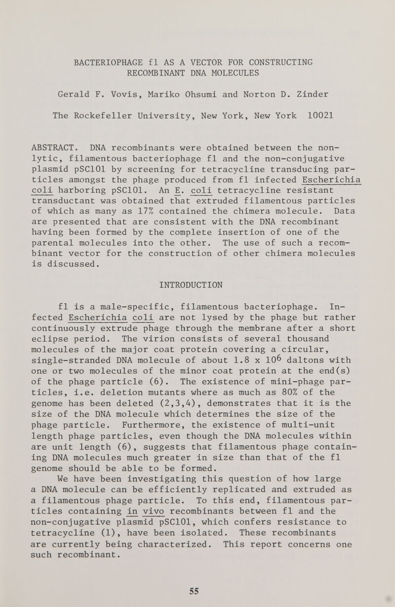 BACTERIOPHAGE fi AS A VECTOR FOR CONSTRUCTING RECOMBINANT DNA MOLECULES Gerald F. Vovis, Mariko Ohsumi and Norton D. Zinder The Rockefeller University, New York, New York 10021 ABSTRACT. DNA recombinants were obtained between the non- lytic, filamentous bacteriophage fl and the non-conjugative plasmid pSClOl by screening for tetracycline transducing par¬ ticles amongst the phage produced from fl infected Escherichia coli harboring pSClOl. An coll tetracycline resistant transductant was obtained that extruded filamentous particles of which as many as 17% contained the chimera molecule. Data are presented that are consistent with the DNA recombinant having been formed by the complete insertion of one of the parental molecules into the other. The use of such a recom¬ binant vector for the construction of other chimera molecules is discussed. INTRODUCTION fl is a male-specific, filamentous bacteriophage. In¬ fected Escherichia coli are not lysed by the phage but rather continuously extrude phage through the membrane after a short eclipse period. The virion consists of several thousand molecules of the major coat protein covering a circular, single-stranded DNA molecule of about 1.8 x 10^ daltons with one or two molecules of the minor coat protein at the end(s) of the phage particle (6). The existence of mini-phage par¬ ticles, i.e. deletion mutants where as much as 80% of the genome has been deleted (2,3,4), demonstrates that it is the size of the DNA molecule which determines the size of the phage particle. Furthermore, the existence of multi-unit length phage particles, even though the DNA molecules within are unit length (6), suggests that filamentous phage contain¬ ing DNA molecules much greater in size than that of the fl genome should be able to be formed. We have been investigating this question of how large a DNA molecule can be efficiently replicated and extruded as a filamentous phage particle. To this end, filamentous par¬ ticles containing ^ vivo recombinants between fl and the non-conjugative plasmid pSClOl, which confers resistance to tetracycline (1), have been isolated. These recombinants are currently being characterized. This report concerns one such recombinant. 55