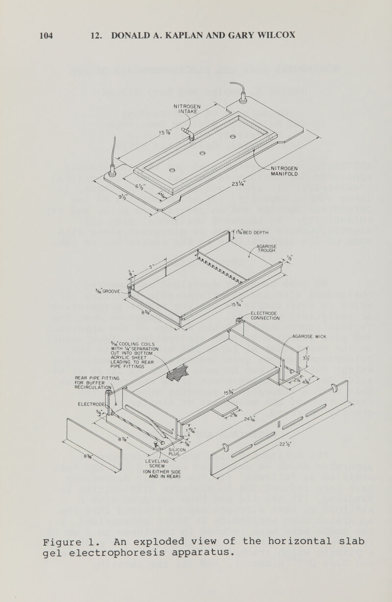 104 12. DONALD A. KAPLAN AND GARY WILCOX ELECTRODE CONNECTION AGAROSE WICK ®/i6 COOLING COILS WITH '/»SEPARATION CUT INTO BOTTOM ACRYLIC SHEET LEADING TO REAR PIPE FITTINGS REAR PIPE FITTING FOR BUFFER RECIRCULATI' Figure 1. An exploded view of the horizontal slab gel electrophoresis apparatus.