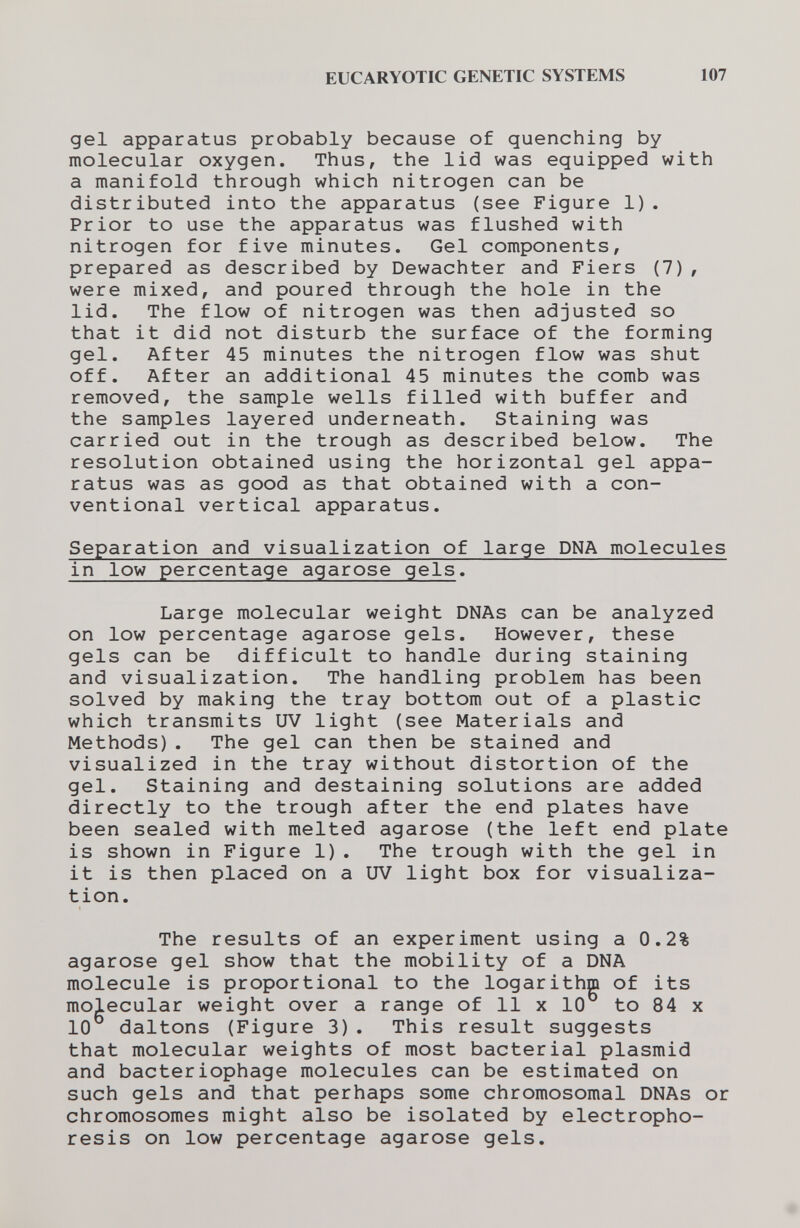 EUCARYOTIC GENETIC SYSTEMS 107 gel apparatus probably because of quenching by molecular oxygen. Thus, the lid was equipped with a manifold through which nitrogen can be distributed into the apparatus (see Figure 1). Prior to use the apparatus was flushed with nitrogen for five minutes. Gel components, prepared as described by Dewachter and Fiers (7), were mixed, and poured through the hole in the lid. The flow of nitrogen was then adjusted so that it did not disturb the surface of the forming gel. After 45 minutes the nitrogen flow was shut off. After an additional 45 minutes the comb was removed, the sample wells filled with buffer and the samples layered underneath. Staining was carried out in the trough as described below. The resolution obtained using the horizontal gel appa¬ ratus was as good as that obtained with a con¬ ventional vertical apparatus. Separation and visualization of large DNA molecules in low percentage agarose gels. Large molecular weight DNAs can be analyzed on low percentage agarose gels. However, these gels can be difficult to handle during staining and visualization. The handling problem has been solved by making the tray bottom out of a plastic which transmits UV light (see Materials and Methods). The gel can then be stained and visualized in the tray without distortion of the gel. Staining and destaining solutions are added directly to the trough after the end plates have been sealed with melted agarose (the left end plate is shown in Figure 1). The trough with the gel in it is then placed on a UV light box for visualiza¬ tion. The results of an experiment using a 0.2% agarose gel show that the mobility of a DNA molecule is proportional to the logarithm of its molecular weight over a range of 11 x 10 to 84 x 10 daltons (Figure 3). This result suggests that molecular weights of most bacterial plasmid and bacteriophage molecules can be estimated on such gels and that perhaps some chromosomal DNAs or chromosomes might also be isolated by electropho¬ resis on low percentage agarose gels.