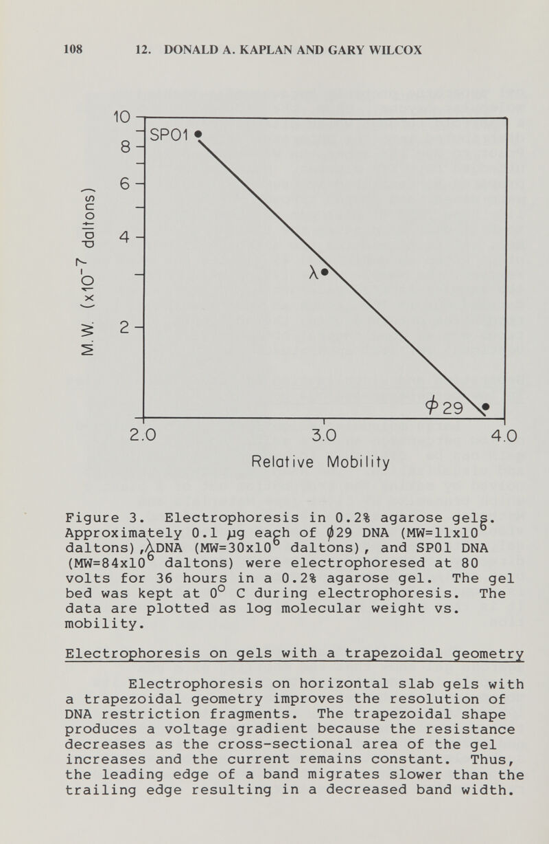 108 12. DONALD A. KAPLAN AND GARY WILCOX 10 8 _ 6 Ф с 0 Ъ 4 TD ^ 1^ 1 О X 5 2 2.0 3.0 4.0 Relative Mobility Figure 3. Electrophoresis in 0.2% agarose gels. Approximately 0.1 pg each of ^29 DNA (MW=llxlO daltons)AdnA (MW=30x10 daltons), and SPOl DNA (MW=84xlO daltons) were electrophoresed at 80 volts for 36 hours in a 0.2% agarose gel. The gel bed was kept at 0® С during electrophoresis. The data are plotted as log molecular weight vs. mobility. Electrophoresis on gels with a trapezoidal geometry Electrophoresis on horizontal slab gels with a trapezoidal geometry improves the resolution of DNA restriction fragments. The trapezoidal shape produces a voltage gradient because the resistance decreases as the cross-sectional area of the gel increases and the current remains constant. Thus, the leading edge of a band migrates slower than the trailing edge resulting in a decreased band width.