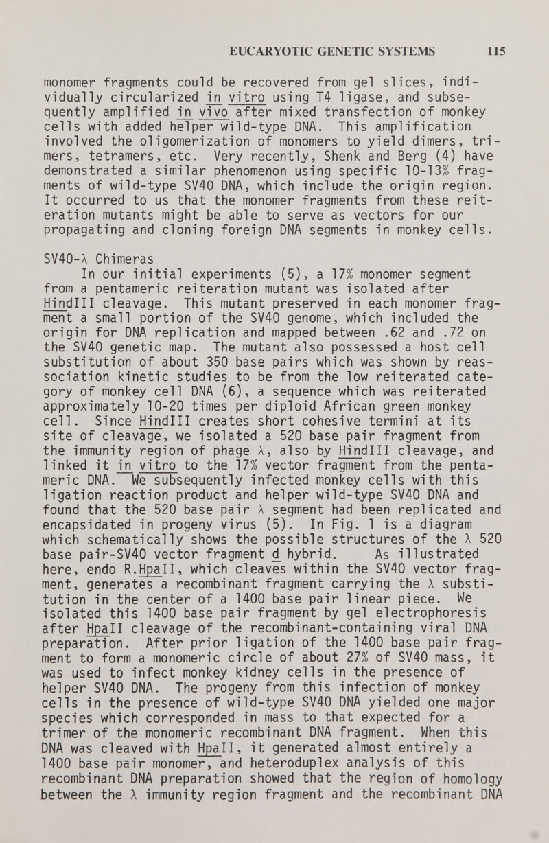 EUCARYOTIC GENETIC SYSTEMS 115 monomer fragments could be recovered from gel slices, indi¬ vidually circularized in vitro using T4 ligase, and subse¬ quently amplified in vivo after mixed transfection of monkey cells with added helper wild-type DNA. This amplification involved the oligomerization of monomers to yield dimers, tri- mers, tetramers, etc. Very recently, Shenk and Berg (4) have demonstrated a similar phenomenon using specific 10-13% frag¬ ments of wild-type SV40 DNA, which include the origin region. It occurred to us that the monomer fragments from these reit¬ eration mutants might be able to serve as vectors for our propagating and cloning foreign DNA segments in monkey cells. SV40-X Chimeras In our initial experiments (5), a 17% monomer segment from a pentameric reiteration mutant was isolated after HindiII cleavage. This mutant preserved in each monomer frag¬ ment a small portion of the SV40 genome, which included the origin for DNA replication and mapped between .62 and .72 on the SV40 genetic map. The mutant also possessed a host cell substitution of about 350 base pairs which was shown by reas¬ sociati on kinetic studies to be from the low reiterated cate¬ gory of monkey cell DNA (6), a sequence which was reiterated approximately 10-20 times per diploid African green monkey cell. Since Hindlll creates short cohesive termini at its site of cleavage, we isolated a 520 base pair fragment from the immunity region of phage Л, also by HindiII cleavage, and linked it in vitro to the 17% vector fragment from the penta¬ meric DNA. We subsequently infected monkey cells with this ligation reaction product and helper wild-type SV40 DNA and found that the 520 base pair Л segment had been replicated and encapsidated in progeny virus (5). In Fig. 1 is a diagram which schematically shows the possible structures of the X 520 base pair-SV40 vector fragment ^ hybrid. As illustrated here, endo R.Hpall, which cleaves within the SV40 vector frag¬ ment, generates a recombinant fragment carrying the X substi¬ tution in the center of a 1400 base pair linear piece. We isolated this 1400 base pair fragment by gel electrophoresis after Hpall cleavage of the recombinant-containing viral DNA preparation. After prior ligation of the 1400 base pair frag¬ ment to form a monomeri с circle of about 27% of SV40 mass, it was used to infect monkey kidney cells in the presence of helper SV40 DNA. The progeny from this infection of monkey cells in the presence of wild-type SV40 DNA yielded one major species which corresponded in mass to that expected for a trimer of the monomeri с recombinant DNA fragment. When this DNA was cleaved with Hpall, it generated almost entirely a 1400 base pair monomer, and heteroduplex analysis of this recombinant DNA preparation showed that the region of homology between the Л immunity region fragment and the recombinant DNA