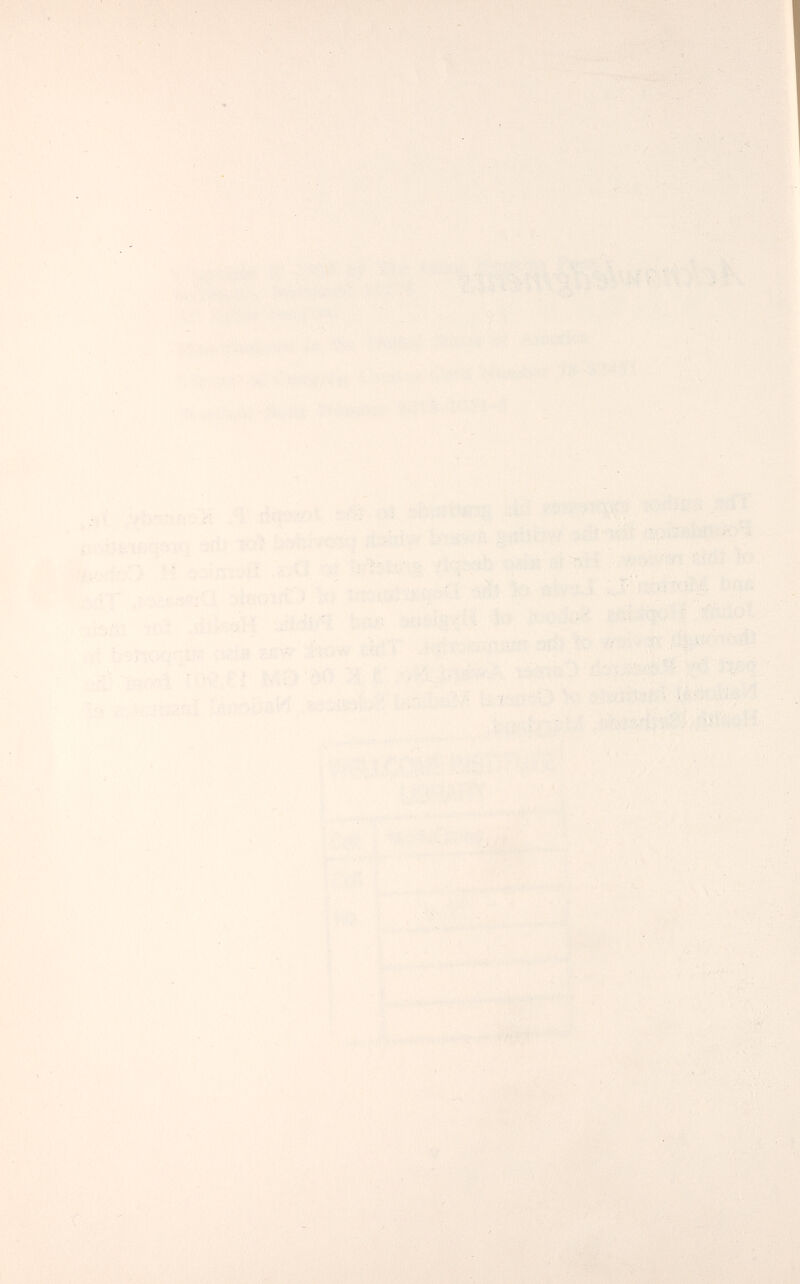 - ''Vf- : ■ ■ ' - ' '•   ' ' Ь ' 't .. '■ ■' -iT'n i^^ 4.P'Vfc-írí<aM Î/fï;S .it'-' , ' ;• • ■••■' ■ t , U»