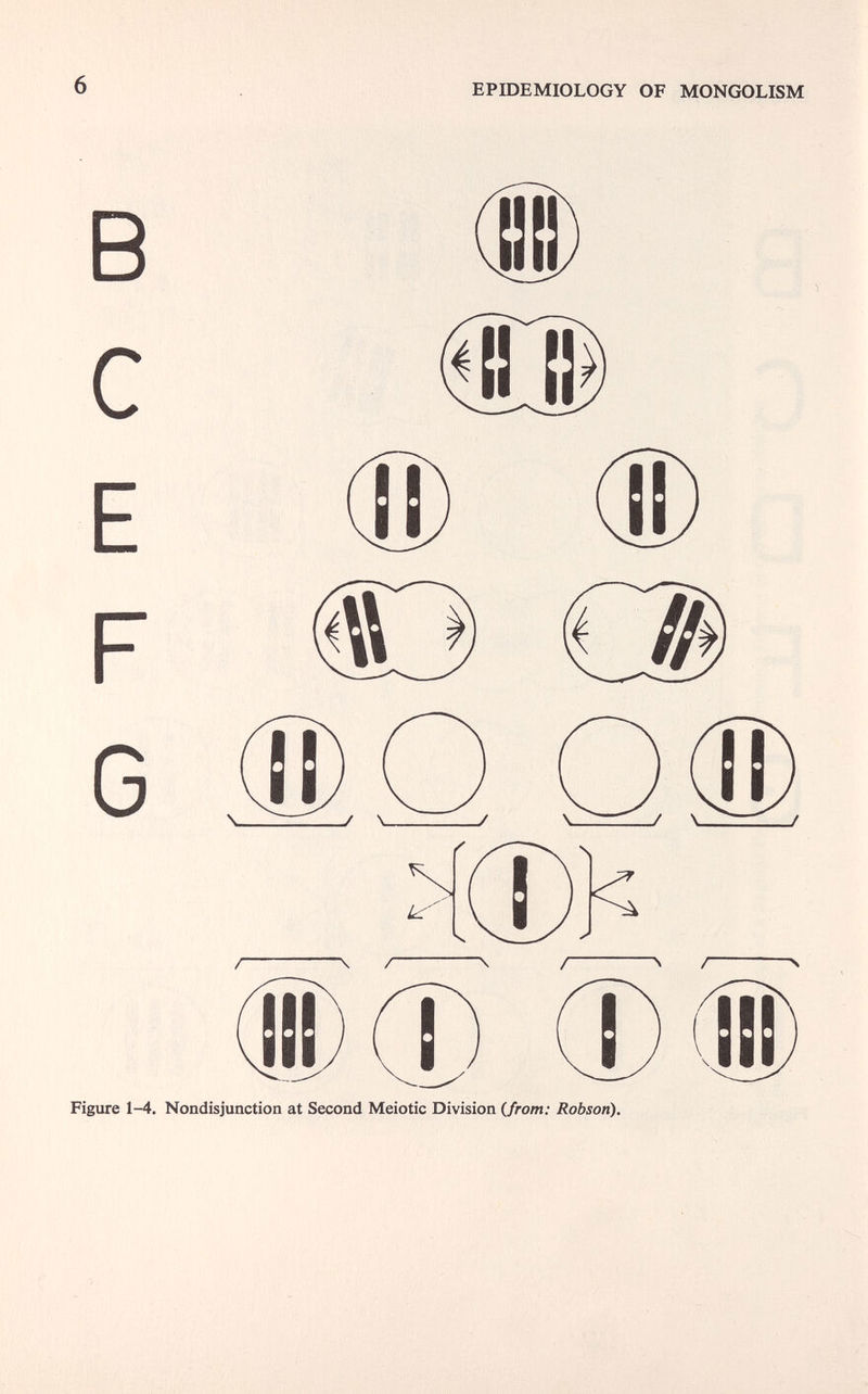 6 ЕРШЕМЮЬОСУ OF MONGOLISM