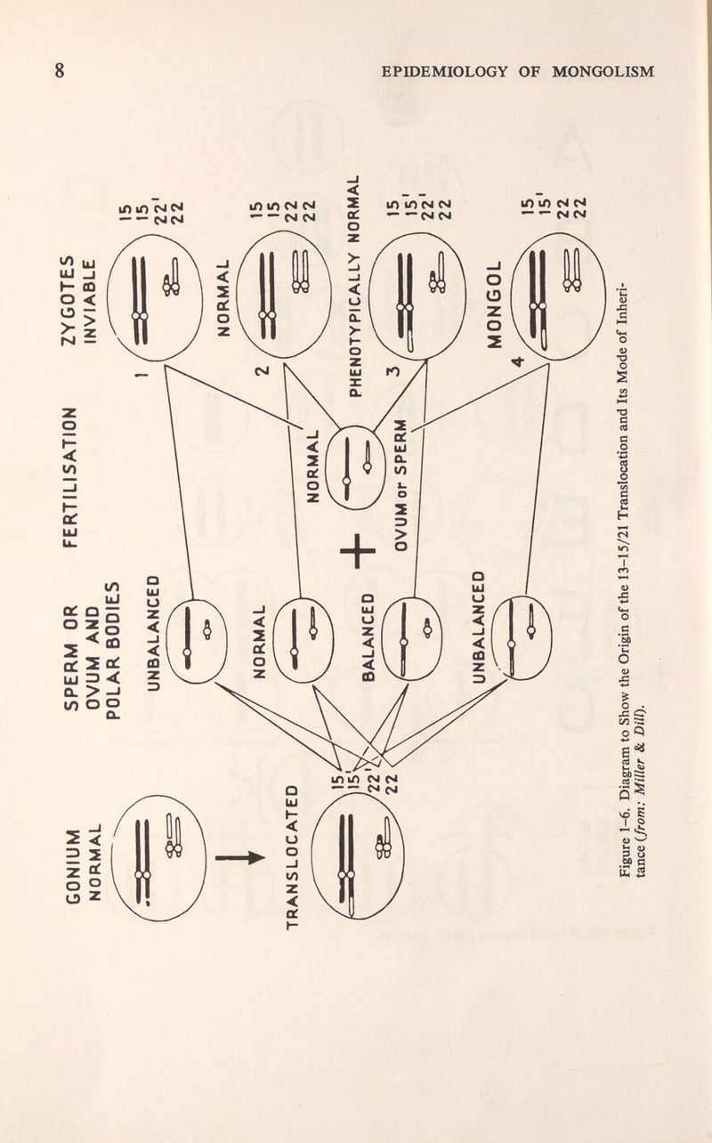 8 EPmEMIOLOGY OF MONGOLISM li) Ю pj N — — NN U) кЛ N M — — (SICM О *£2 С О О) •о о •о tí ce G О 8 с cd I m О s 'S) Л s-« es ÎS Il ^ eifiS:: Si ЧО s (U w Jj u 9 u .£? a b Л