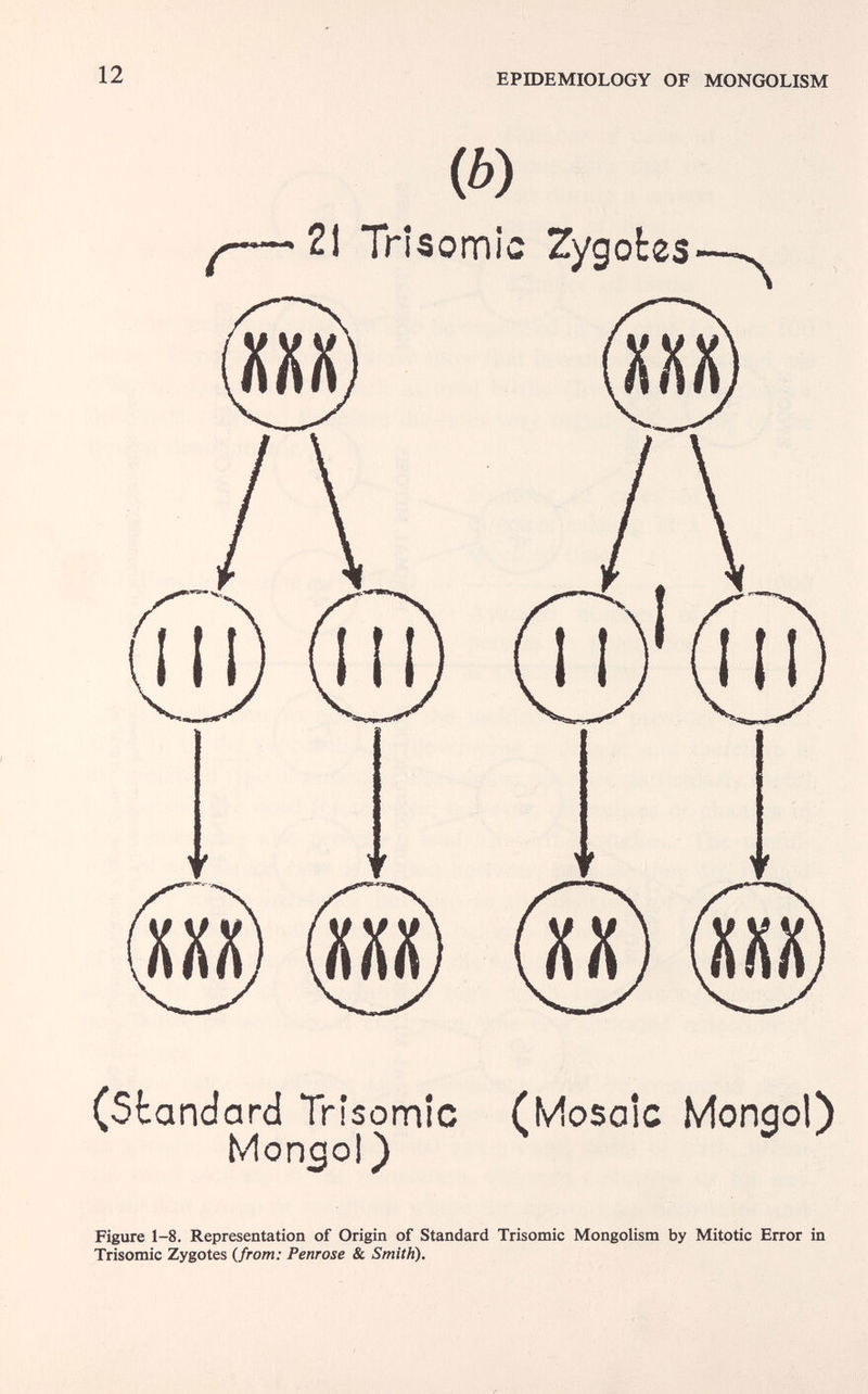 12 EPIDEMIOLOGY OF MONGOLISM Ф) 21 Trisomie Zygotes (Ш) (§) (standard Trisomie Monsol} (Mosaic Mongol) Figure 1-8. Representation of Origin of Standard Trisomie Mongolism by Mitotic Error in Trisomie Zygotes (from: Penrose & Smith).
