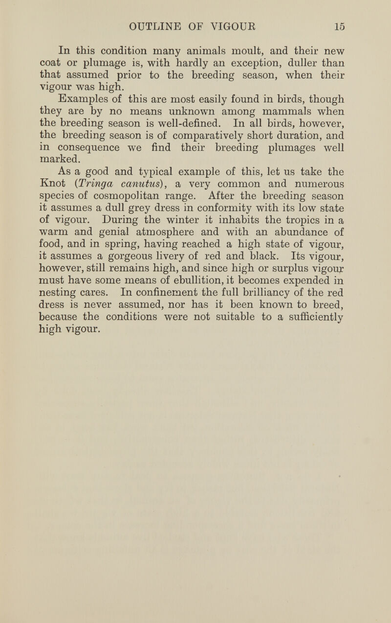 OUTLINE OF VIGOUE 15 In this condition many animals moult, and their new coat or plumage is, with hardly an exception, duller than that assumed prior to the breeding season, when their vigour was high. Examples of this are most easily found in birds, though they are by no means unknown among mammals when the breeding season is well-defined. In all birds, however, the breeding season is of comparatively short duration, and in consequence we find their breeding plumages well marked. As a good and typical example of this, let us take the Knot {Tringa canutus), a very common and numerous species of cosmopolitan range. After the breeding season it assumes a dull grey dress in conformity with its low state of vigour. During the winter it inhabits the tropics in a warm and genial atmosphere and with an abundance of food, and in spring, having reached a high state of vigour, it assumes a gorgeous livery of red and black. Its vigour, however, still remains high, and since high or surplus vigour must have some means of ebullition, it becomes expended in nesting cares. In confinement the full brilliancy of the red dress is never assumed, nor has it been known to breed, because the conditions were not suitable to a sufficiently high vigour.
