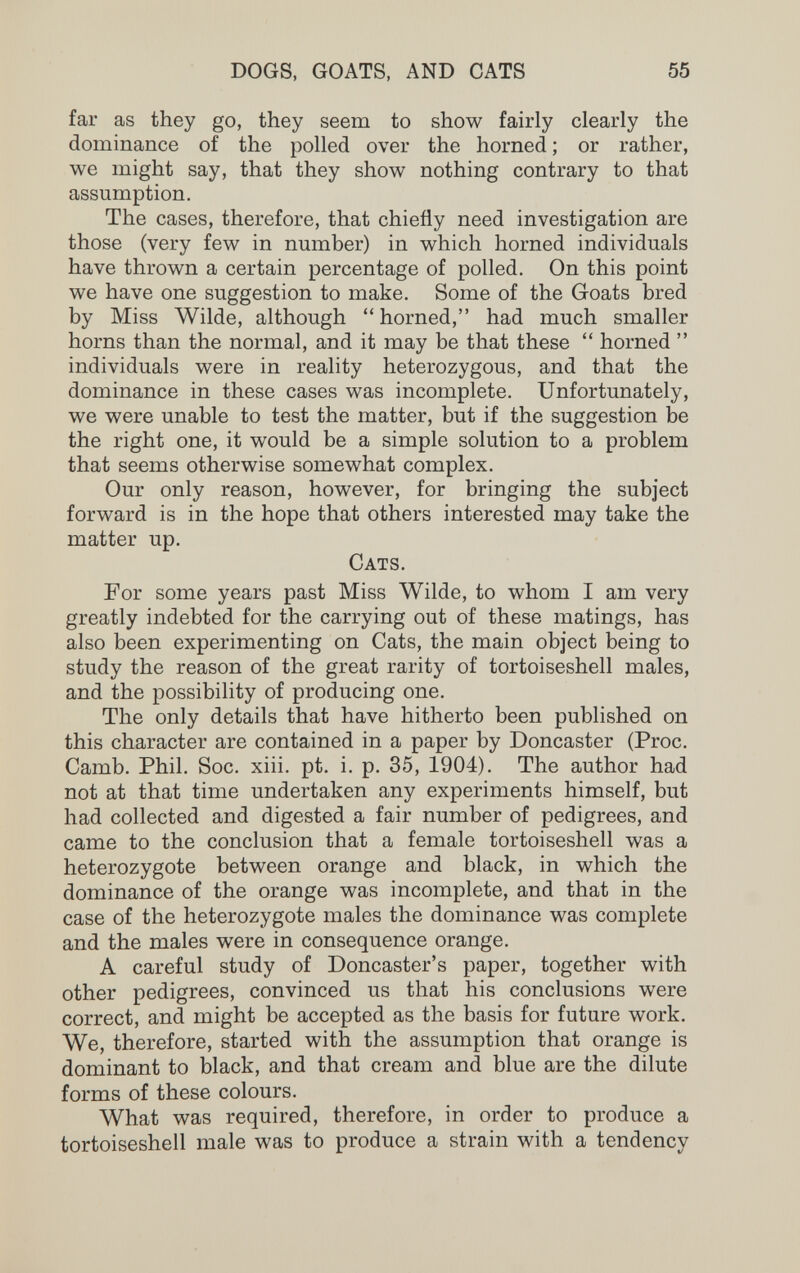 DOGS, GOATS, AND CATS 55 far as they go, they seem to show fairly clearly the dominance of the polled over the horned ; or rather, we might say, that they show nothing contrary to that assumption. The cases, therefore, that chiefly need investigation are those (very few in number) in which horned individuals have thrown a certain percentage of polled. On this point we have one suggestion to make. Some of the Goats bred by Miss Wilde, although horned, had much smaller horns than the normal, and it may be that these  horned  individuals were in reality heterozygous, and that the dominance in these cases was incomplete. Unfortunately, we were unable to test the matter, but if the suggestion be the right one, it would be a simple solution to a problem that seems otherwise somewhat complex. Our only reason, however, for bringing the subject forward is in the hope that others interested may take the matter up. Cats. For some years past Miss Wilde, to whom I am very greatly indebted for the carrying out of these matings, has also been experimenting on Cats, the main object being to study the reason of the great rarity of tortoiseshell males, and the possibility of producing one. The only details that have hitherto been published on this character are contained in a paper by Doncaster (Proc. Camb. Phil. Soc. xiii. pt. i. p. 35, 1904). The author had not at that time undertaken any experiments himself, but had collected and digested a fair number of pedigrees, and came to the conclusion that a female tortoiseshell was a heterozygote between orange and black, in which the dominance of the orange was incomplete, and that in the case of the heterozygote males the dominance was complete and the males were in consequence orange. A careful study of Doncaster's paper, together with other pedigrees, convinced us that his conclusions were correct, and might be accepted as the basis for future work. We, therefore, started with the assumption that orange is dominant to black, and that cream and blue are the dilute forms of these colours. What was required, therefore, in order to produce a tortoiseshell male was to produce a strain with a tendency