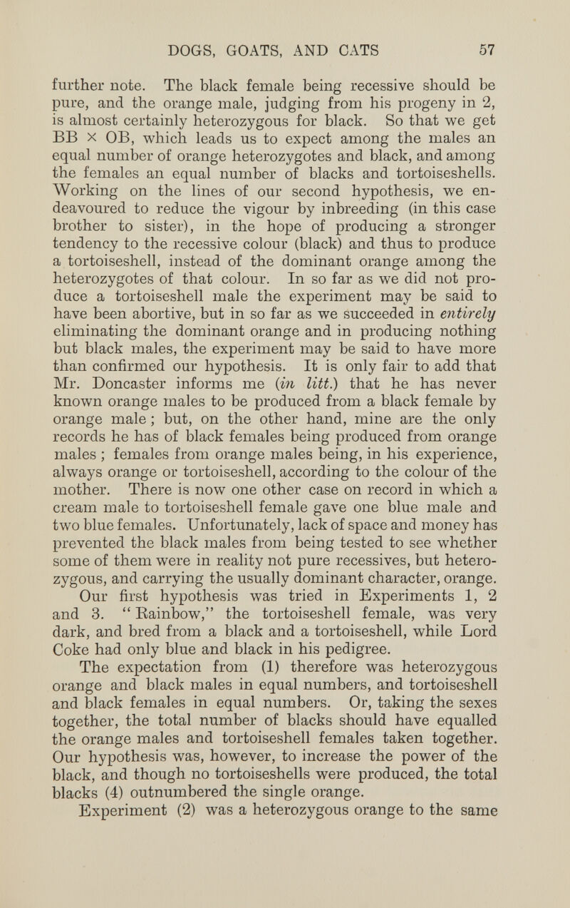 DOGS, GOATS, AND CATS 57 further note. The black female being recessive should be pure, and the orange male, judging from his progeny in 2, is almost certainly heterozygous for black. So that we get BB X OB, which leads us to expect among the males an equal number of orange heterozygotes and black, and among the females an equal number of blacks and tortoiseshells. Working on the lines of our second hypothesis, we en¬ deavoured to reduce the vigour by inbreeding (in this case brother to sister), in the hope of producing a stronger tendency to the recessive colour (black) and thus to produce a tortoiseshell, instead of the dominant orange among the heterozygotes of that colour. In so far as we did not pro¬ duce a tortoiseshell male the experiment may be said to have been abortive, but in so far as we succeeded in entirely eliminating the dominant orange and in producing nothing but black males, the experiment may be said to have more than confirmed our hypothesis. It is only fair to add that Mr. Doncaster informs me {in litt.) that he has never known orange males to be produced from a black female by orange male ; but, on the other hand, mine are the only records he has of black females being produced from orange males ; females from orange males being, in his experience, always orange or tortoiseshell, according to the colour of the mother. There is now one other case on record in which a cream male to tortoiseshell female gave one blue male and two blue females. Unfortunately, lack of space and money has prevented the black males from being tested to see whether some of them were in reality not pure récessives, but hetero¬ zygous, and carrying the usually dominant character, orange. Our first hypothesis was tried in Experiments 1, 2 and 3.  Rainbow, the tortoiseshell female, was very dark, and bred from a black and a tortoiseshell, while Lord Coke had only blue and black in his pedigree. The expectation from (1) therefore was heterozygous orange and black males in equal numbers, and tortoiseshell and black females in equal numbers. Or, taking the sexes together, the total number of blacks should have equalled the orange males and tortoiseshell females taken together. Our hypothesis was, however, to increase the power of the black, and though no tortoiseshells were produced, the total blacks (4) outnumbered the single orange. Experiment (2) was a heterozygous orange to the same