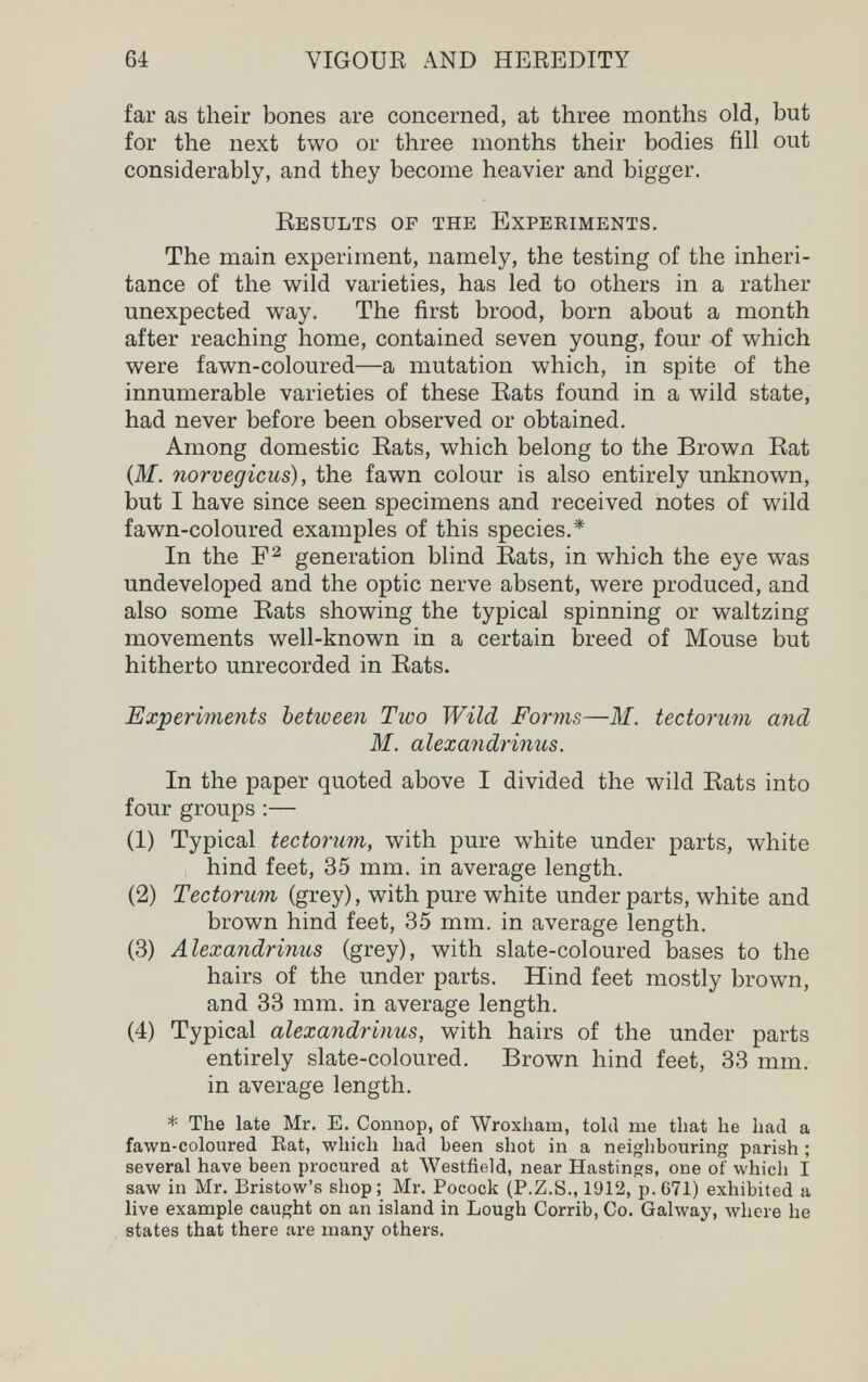 64 VIGOUK AND HEEEDITY far as their bones are concerned, at three months old, but for the next two or three months their bodies fill out considerably, and they become heavier and bigger. Eesults op the Experiments. The main experiment, namely, the testing of the inheri¬ tance of the wild varieties, has led to others in a rather unexpected way. The first brood, born about a month after reaching home, contained seven young, four of which were fawn-coloured—a mutation which, in spite of the innumerable varieties of these Eats found in a wild state, had never before been observed or obtained. Among domestic Eats, which belong to the Brown Eat (Ж. norvégiens), the fawn colour is also entirely unknown, but I have since seen specimens and received notes of wild fawn-coloured examples of this species.* In the generation blind Eats, in which the eye was undeveloped and the optic nerve absent, were produced, and also some Eats showing the typical spinning or waltzing movements well-known in a certain breed of Mouse but hitherto unrecorded in Eats. Experiments between Two Wild Forms—M. tectorum and M. alexandrinus. In the paper quoted above I divided the wild Eats into four groups :— (1) Typical tectorum, with pure white under parts, white hind feet, 35 mm. in average length. (2) Tectorum (grey), with pure white under parts, white and brown hind feet, 35 mm. in average length. (3) Alexandrinus (grey), with slate-coloured bases to the hairs of the under parts. Hind feet mostly brown, and 33 mm. in average length. (4) Typical alexandrinus, with hairs of the under parts entirely slate-coloured. Brown hind feet, 33 mm. in average length. * The late Mr. E. Connop, of Wroxham, told me that he had a fawn-coloured Rat, which had been shot in a neiglibouring parish ; several have been procured at Westfield, near Hastings, one of which I saw in Mr. Bristow's shop; Mr. Pocock (P.Z.S., 1912, p. 671) exhibited a live example caught on an island in Lough Corrib, Co. Galway, Avhere he states that there are many others.