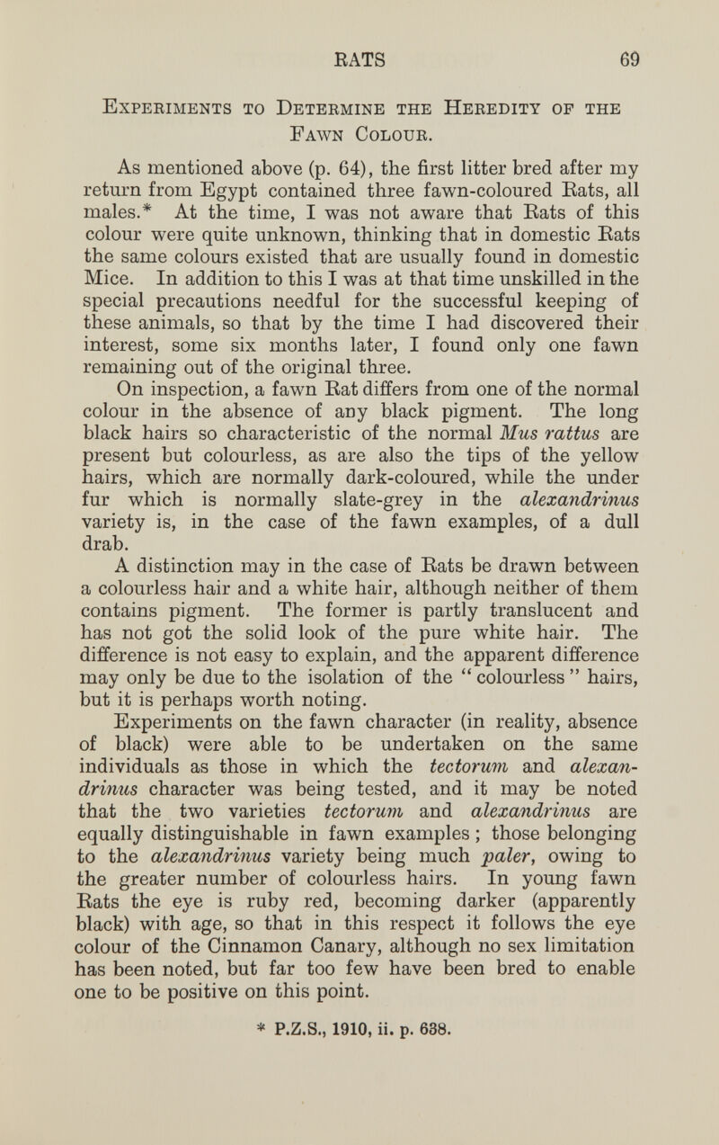 EATS 69 Experiments to Determine the Heredity of the Fawn Colour. As mentioned above (p. 64), the first litter bred after my return from Egypt contained three fawn-coloured Eats, all males.* At the time, I was not aware that Rats of this colour were quite unknown, thinking that in domestic Eats the same colours existed that are usually found in domestic Mice. In addition to this I was at that time unskilled in the special precautions needful for the successful keeping of these animals, so that by the time I had discovered their interest, some six months later, I found only one fawn remaining out of the original three. On inspection, a fawn Eat differs from one of the normal colour in the absence of any black pigment. The long black hairs so characteristic of the normal Mus rattus are present but colourless, as are also the tips of the yellow hairs, which are normally dark-coloured, while the under fur which is normally slate-grey in the alexandrinus variety is, in the case of the fawn examples, of a dull drab. A distinction may in the case of Eats be drawn between a colourless hair and a white hair, although neither of them contains pigment. The former is partly translucent and has not got the solid look of the pure white hair. The difference is not easy to explain, and the apparent difference may only be due to the isolation of the  colourless  hairs, but it is perhaps worth noting. Experiments on the fawn character (in reality, absence of black) were able to be undertaken on the same individuals as those in which the tectorum and alexan¬ drinus character was being tested, and it may be noted that the two varieties tectorum and alexandrinus are equally distinguishable in fawn examples ; those belonging to the alexandrinus variety being much paler, owing to the greater number of colourless hairs. In young fawn Eats the eye is ruby red, becoming darker (apparently black) with age, so that in this respect it follows the eye colour of the Cinnamon Canary, although no sex limitation has been noted, but far too few have been bred to enable one to be positive on this point. ♦ P.Z.S., 1910, ii. p. 638.