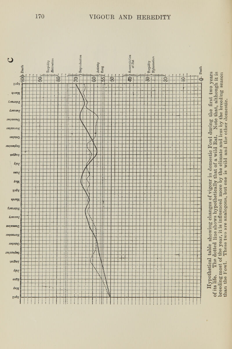 170 VIGOUE AND HEREDITY CJ s-'л ^ S