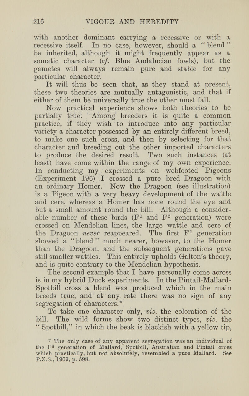 216 VIGOUE AND HEEEDITY with another dominant carrying a recessive or with a recessive itself. In no case, however, should a  blend  be inherited, although it might frequently appear as a somatic character (с/. Blue Andalucian fowls), but the gametes will always remain pure and stable for any particular character. It will thus be seen that, as they stand at present, these two theories are mutually antagonistic, and that if either of them be universally true the other must fall. Now practical experience shows both theories to be partially true. Among breeders it is quite a common practice, if they wish to introduce into any particular variety a character possessed by an entirely different breed, to make one such cross, and then by selecting for that character and breeding out the other imported characters to produce the desired result. Two such instances (at least) have come within the range of my own experience. In conducting my experiments on webfooted Pigeons (Experiment 196) I crossed a pure bred Dragoon with an ordinary Homer. Now the Dragoon (see illustration) is a Pigeon with a very heavy development of the wattle and cere, whereas a Homer has none round the eye and but a small amount round the bill. Although a consider¬ able number of these birds (F^ and generation) were crossed on Mendelian lines, the large wattle and cere of the Dragoon never reappeared. The first F^ generation showed a blend much nearer, however, to the Homer than the Dragoon, and the subsequent generations gave still smaller wattles. This entirely upholds Galton's theory, and is quite contrary to the Mendelian hypothesis. The second example that I have personally come across is in my hybrid Duck experiments. In the Pintail-Mallard- Spotbill cross a blend was produced which in the main breeds true, and at any rate there was no sign of any segregation of characters.* To take one character only, viz. the coloration of the bill. The wild forms show two distinct types, viz. the  Spotbill, in which the beak is blackish with a yellow tip. The only case of any apparent segregation was an individual of the generation of Mallard, Spotbill, Australian and Pintail cross which practically, but not absolutely, resembled a pure Mallard. See P.Z.S., 1909, p. 598.