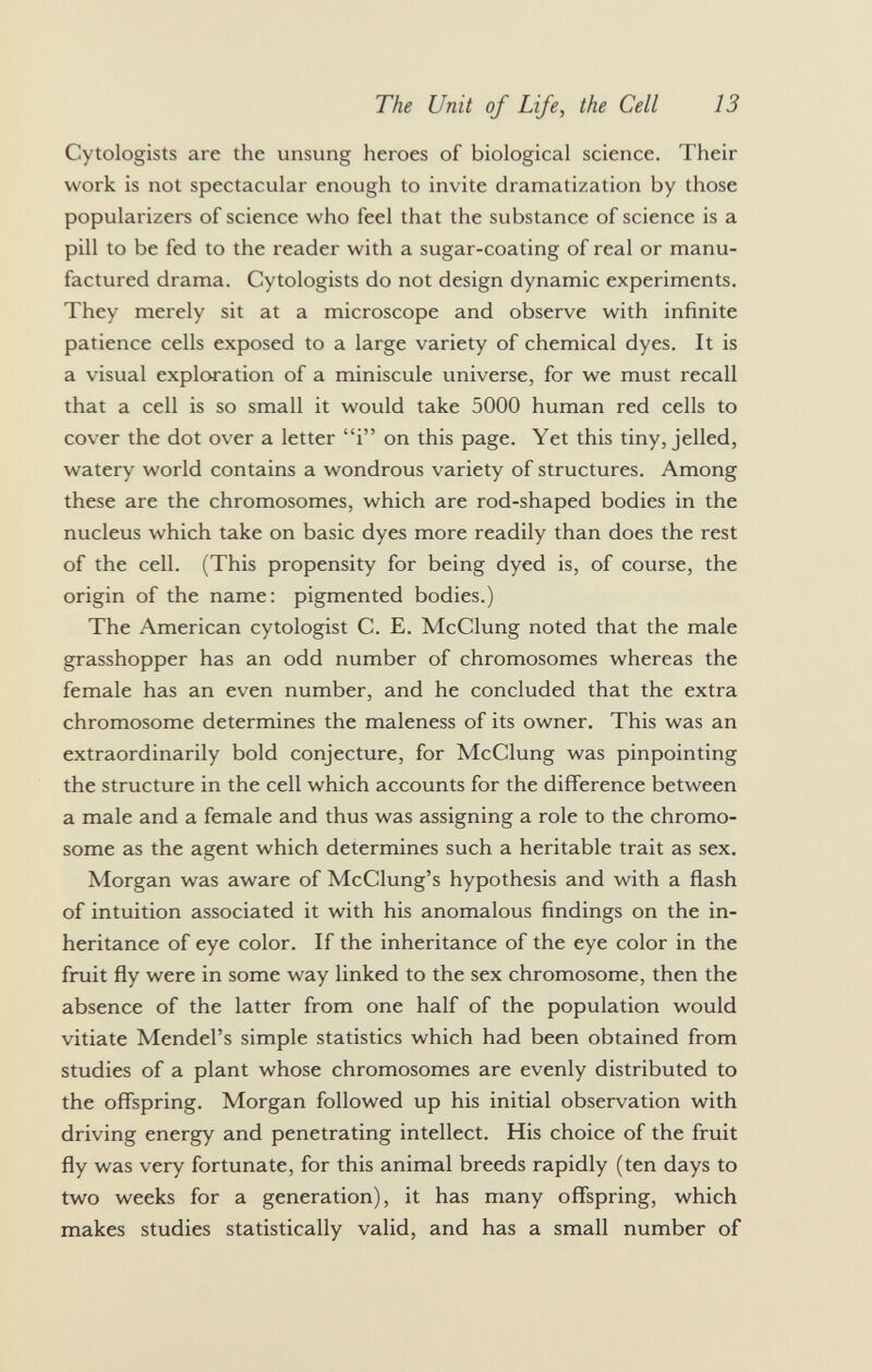 Cytologists are the unsung heroes of biological science. Their work is not spectacular enough to invite dramatization by those popularizers of science who feel that the substance of science is a pill to be fed to the reader with a sugar-coating of real or manu factured drama. Cytologists do not design dynamic experiments. They merely sit at a microscope and observe with infinite patience cells exposed to a large variety of chemical dyes. It is a visual exploration of a miniscule universe, for we must recall that a cell is so small it would take 5000 human red cells to cover the dot over a letter i on this page. Yet this tiny, jelled, watery world contains a wondrous variety of structures. Among these are the chromosomes, which are rod-shaped bodies in the nucleus which take on basic dyes more readily than does the rest of the cell. (This propensity for being dyed is, of course, the origin of the name: pigmented bodies.) The American cytologist C. E. McClung noted that the male grasshopper has an odd number of chromosomes whereas the female has an even number, and he concluded that the extra chromosome determines the maleness of its owner. This was an extraordinarily bold conjecture, for McClung was pinpointing the structure in the cell which accounts for the difference between a male and a female and thus was assigning a role to the chromo some as the agent which determines such a heritable trait as sex. Morgan was aware of McClung's hypothesis and with a flash of intuition associated it with his anomalous findings on the in heritance of eye color. If the inheritance of the eye color in the fruit fly were in some way linked to the sex chromosome, then the absence of the latter from one half of the population would vitiate Mendel's simple statistics which had been obtained from studies of a plant whose chromosomes are evenly distributed to the offspring. Morgan followed up his initial observation with driving energy and penetrating intellect. His choice of the fruit fly was very fortunate, for this animal breeds rapidly (ten days to two weeks for a generation), it has many offspring, which makes studies statistically valid, and has a small number of