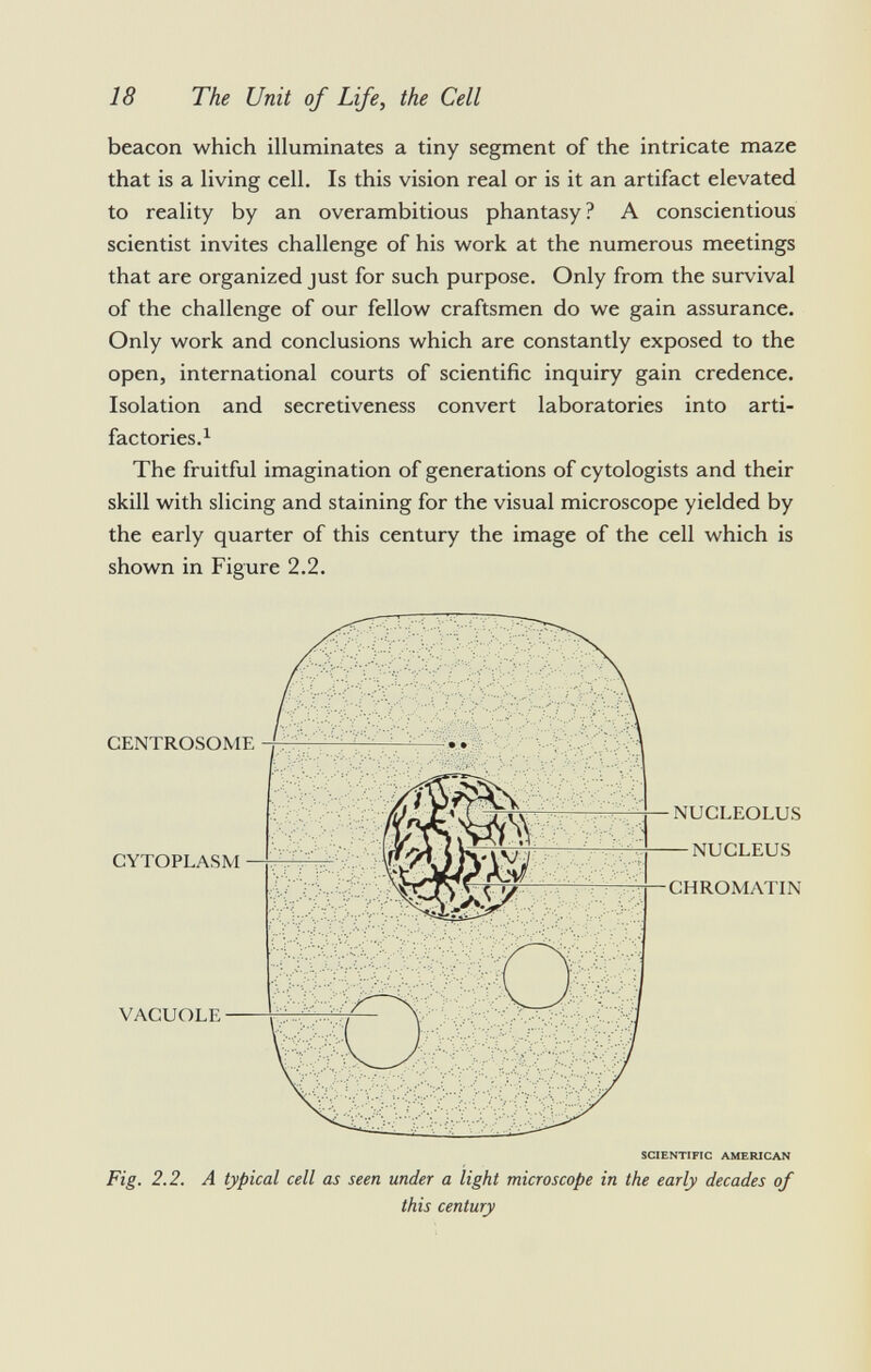 beacon which illuminates a tiny segment of the intricate maze that is a living cell. Is this vision real or is it an artifact elevated to reality by an overambitious phantasy? A conscientious scientist invites challenge of his work at the numerous meetings that are organized just for such purpose. Only from the survival of the challenge of our fellow craftsmen do we gain assurance. Only work and conclusions which are constantly exposed to the open, international courts of scientific inquiry gain credence. Isolation and secretiveness convert laboratories into arti- factories. 1 The fruitful imagination of generations of cytologists and their skill with slicing and staining for the visual microscope yielded by the early quarter of this century the image of the cell which is shown in Figure 2.2. SCIENTIFIC AMERICAN Fig. 2.2. A typical cell as seen under a light microscope in the early decades of this century