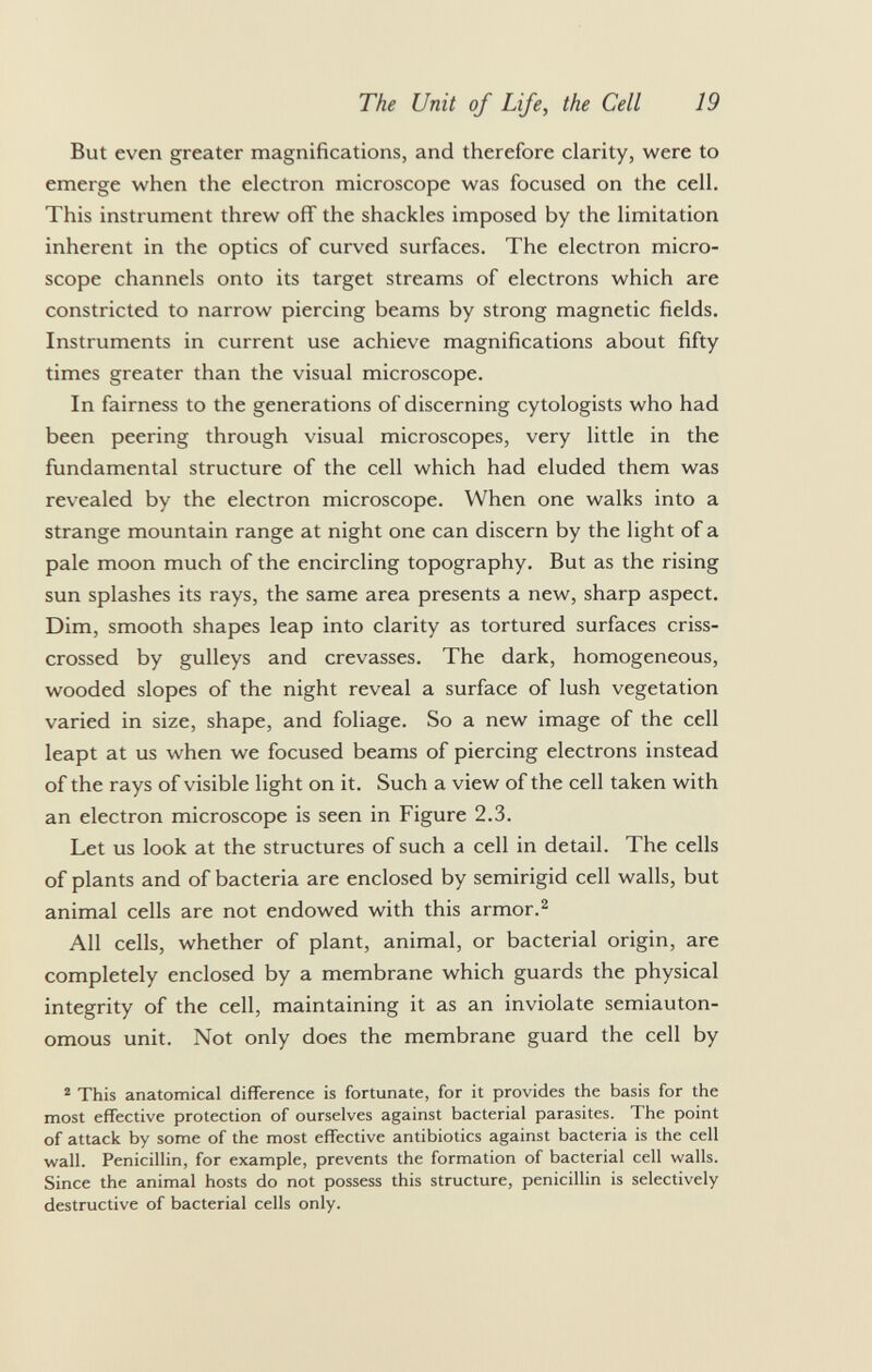 But even greater magnifications, and therefore clarity, were to emerge when the electron microscope was focused on the cell. This instrument threw off the shackles imposed by the limitation inherent in the optics of curved surfaces. The electron micro scope channels onto its target streams of electrons which are constricted to narrow piercing beams by strong magnetic fields. Instruments in current use achieve magnifications about fifty times greater than the visual microscope. In fairness to the generations of discerning cytologists who had been peering through visual microscopes, very little in the fundamental structure of the cell which had eluded them was revealed by the electron microscope. When one walks into a strange mountain range at night one can discern by the light of a pale moon much of the encircling topography. But as the rising sun splashes its rays, the same area presents a new, sharp aspect. Dim, smooth shapes leap into clarity as tortured surfaces criss crossed by gulleys and crevasses. The dark, homogeneous, wooded slopes of the night reveal a surface of lush vegetation varied in size, shape, and foliage. So a new image of the cell leapt at us when we focused beams of piercing electrons instead of the rays of visible light on it. Such a view of the cell taken with an electron microscope is seen in Figure 2.3. Let us look at the structures of such a cell in detail. The cells of plants and of bacteria are enclosed by semirigid cell walls, but animal cells are not endowed with this armor. 2 All cells, whether of plant, animal, or bacterial origin, are completely enclosed by a membrane which guards the physical integrity of the cell, maintaining it as an inviolate semiauton- omous unit. Not only does the membrane guard the cell by 2 This anatomical difference is fortunate, for it provides the basis for the most effective protection of ourselves against bacterial parasites. The point of attack by some of the most effective antibiotics against bacteria is the cell wall. Penicillin, for example, prevents the formation of bacterial cell walls. Since the animal hosts do not possess this structure, penicillin is selectively destructive of bacterial cells only.