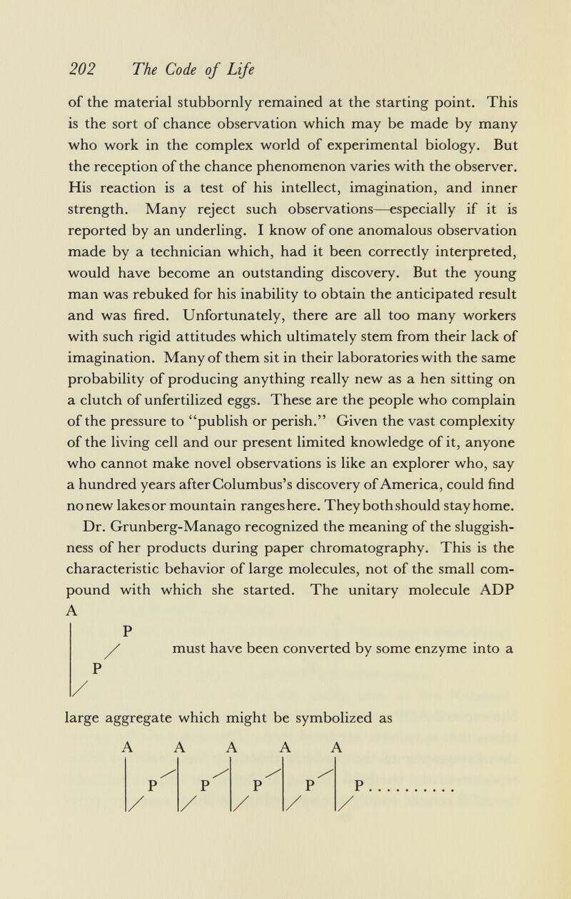of the material stubbornly remained at the starting point. This is the sort of chance observation which may be made by many who work in the complex world of experimental biology. But the reception of the chance phenomenon varies with the observer. His reaction is a test of his intellect, imagination, and inner strength. Many reject such observations—especially if it is reported by an underling. I know of one anomalous observation made by a technician which, had it been correctly interpreted, would have become an outstanding discovery. But the young man was rebuked for his inability to obtain the anticipated result and was fired. Unfortunately, there are all too many workers with such rigid attitudes which ultimately stem from their lack of imagination. Many of them sit in their laboratories with the same probability of producing anything really new as a hen sitting on a clutch of unfertilized eggs. These are the people who complain of the pressure to publish or perish. Given the vast complexity of the living cell and our present limited knowledge of it, anyone who cannot make novel observations is like an explorer who, say a hundred years after Columbus's discovery of America, could find no new lakes or mountain ranges here. They both should stay home. Dr. Grunberg-Manago recognized the meaning of the sluggish ness of her products during paper chromatography. This is the characteristic behavior of large molecules, not of the small com pound with which she started. The unitary molecule ADP A P must have been converted by some enzyme into a P large aggregate which might be symbolized as A A A A A