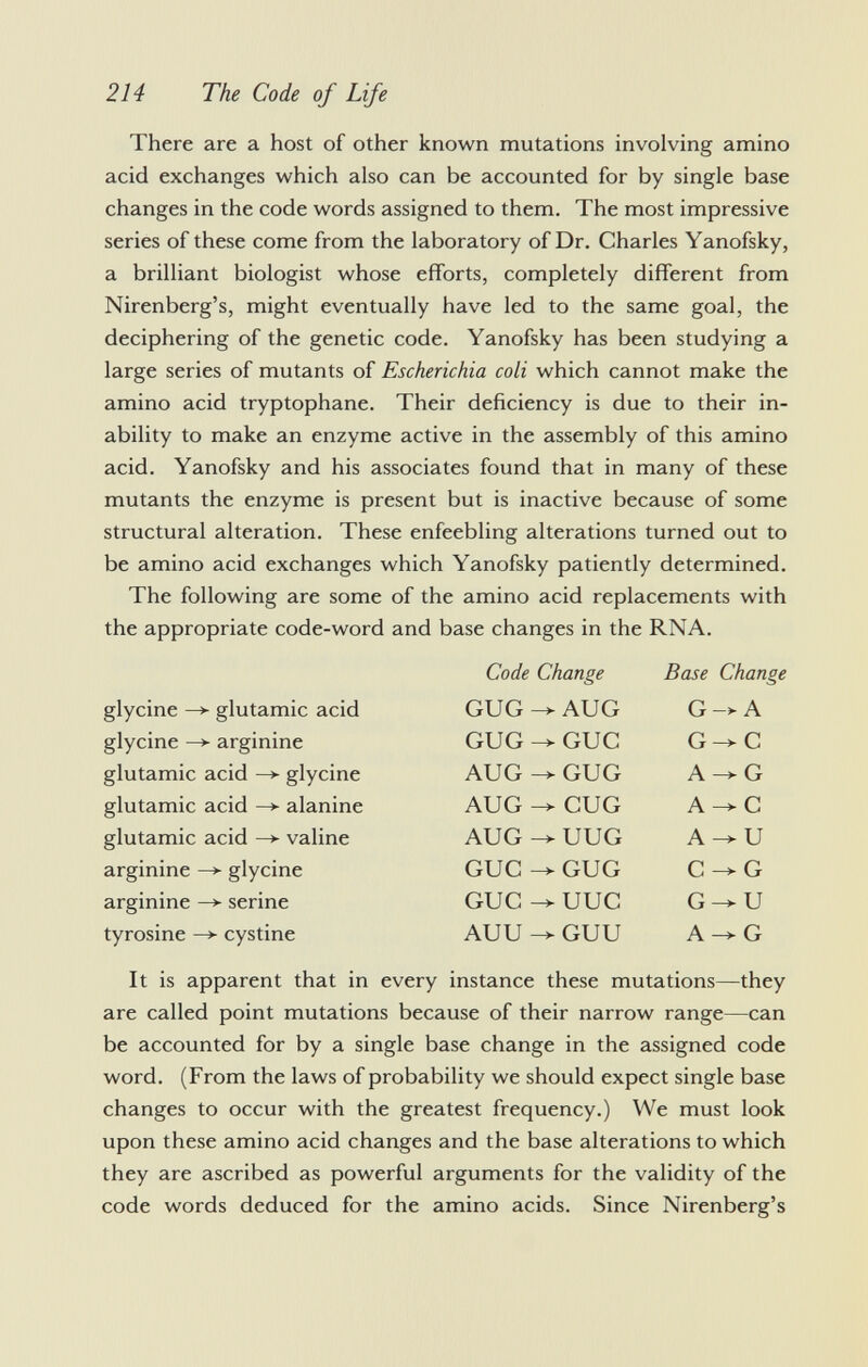 There are a host of other known mutations involving amino acid exchanges which also can be accounted for by single base changes in the code words assigned to them. The most impressive series of these come from the laboratory of Dr. Charles Yanofsky, a brilliant biologist whose efforts, completely different from Nirenberg's, might eventually have led to the same goal, the deciphering of the genetic code. Yanofsky has been studying a large series of mutants of Escherichia coli which cannot make the amino acid tryptophane. Their deficiency is due to their in ability to make an enzyme active in the assembly of this amino acid. Yanofsky and his associates found that in many of these mutants the enzyme is present but is inactive because of some structural alteration. These enfeebling alterations turned out to be amino acid exchanges which Yanofsky patiently determined. The following are some of the amino acid replacements with the appropriate code-word and base changes in the RNA. It is apparent that in every instance these mutations—they are called point mutations because of their narrow range—can be accounted for by a single base change in the assigned code word. (From the laws of probability we should expect single base changes to occur with the greatest frequency.) We must look upon these amino acid changes and the base alterations to which they are ascribed as powerful arguments for the validity of the code words deduced for the amino acids. Since Nirenberg's Code Change Base Change glycine —*■ glutamic acid glycine —> arginine glutamic acid —*■ glycine glutamic acid —*■ alanine glutamic acid —>■ valine GUG —*• AUG G A GUG -> GUC G -> C AUG GUG A —* G AUG -> CUG A —C AUG -> UUG A~*U GUC -> GUG C —G GUC —> UUC G —>- U AUU GUU A -> G arginine —»■ glycine arginine —*■ serine tyrosine —► cystine