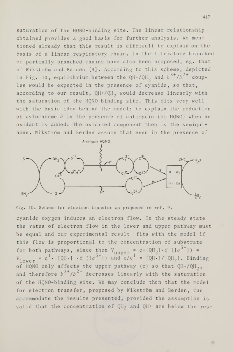 saturation of the HQNO-binding site. The linear relationship obtained provides a good basis for further analysis. We men tioned already that this result is difficult to explain on the basis of a linear respiratory chain. In the literature branched or partially branched chains have also been proposed, eg. that of Wikstrom and Berden [9]. According to this scheme, depicted in Fig. 10, equilibrium between the QH-/QH-, and b^ + /b“ + coup les would be expected in the presence of cyanide, so that, according to our result, QH*/QH 2 would decrease linearly with the saturation of the HQNO-binding site. This fits very well with the basic idea behind the model: to explain the reduction of cytochrome b in the presence of antimycin (or HQNO) when an oxidant is added. The oxidized component then is the semiqui- none. Wikstrom and Berden assume that even in the presence of Fig. 10. Scheme for electron transfer as proposed in ref. 9. cyanide oxygen induces an electron flow. In the steady state the rates of electron flow in the lower and upper pathway must be equal and our experimental result fits with the model if this flow is proportional to the concentration of substrate for both pathways, since then V = c*[QH~]«f ([¿? J) + ]) = i *z+ upper .. l Viewer = c ' 1) and c /c = [QH.]/[QH 2 ]. Binding of HQNO only affects the upper pathway (c) so that QH*/QH 9 , and therefore b^ + /b^ + decreases linearly with the saturation of the HQNO-binding site. We may conclude then that the model for electron transfer, proposed by Wikstrom and Berden, can accommodate the results presented, provided the assumption is valid that the concentration of QH 2 and QH* are below the res- Antimycin HQNO