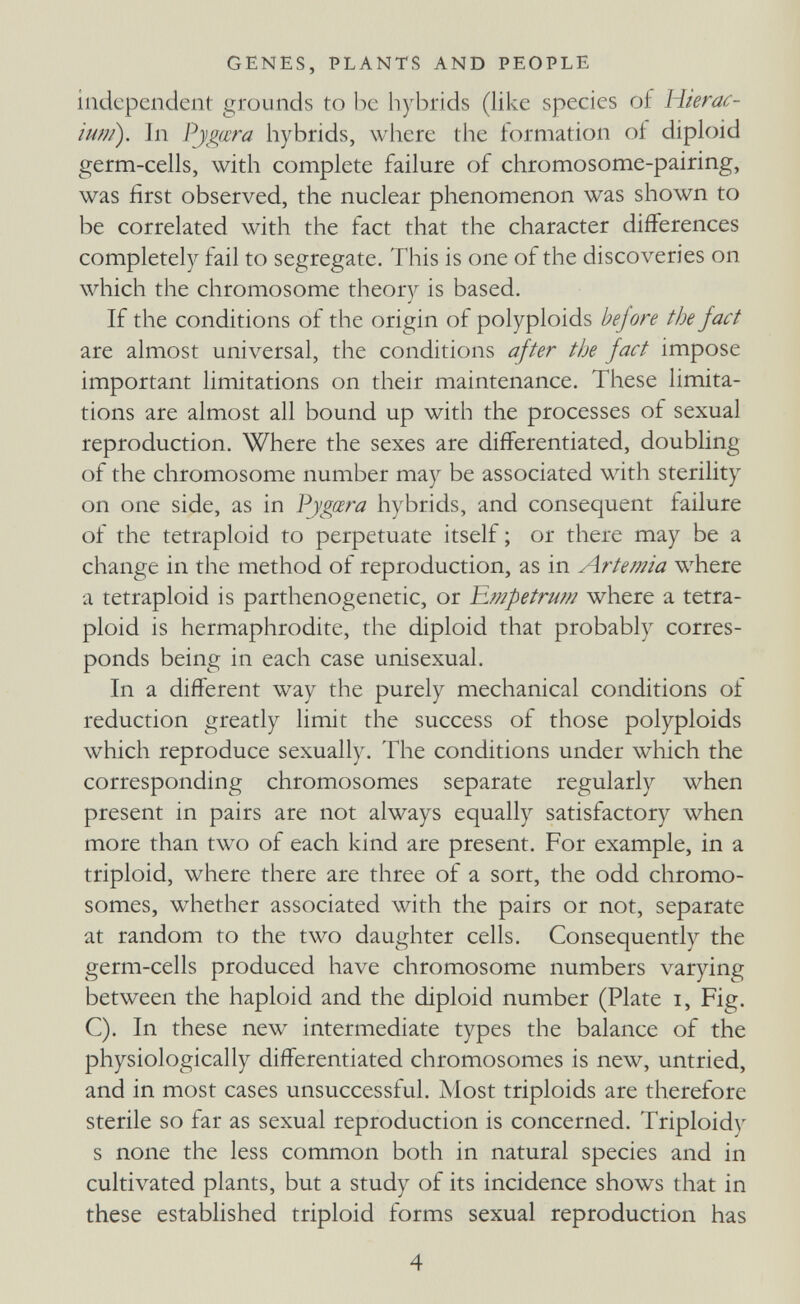 GENES, PLANTS AND PEOPLE independent grounds to lie hybrids (like species of Hierac- iuni). Jn Pjgœra liybrids, wiiere the formation of diploid germ-cells, with complete failure of chromosome-pairing, was first observed, the nuclear phenomenon was shown to be correlated with the fact that the character differences completely fail to segregate. This is one of the discoveries on which the chromosome theory is based. If the conditions of the origin of polyploids before the fact are almost universal, the conditions after the fact impose important limitations on their maintenance. These limita¬ tions are almost all bound up with the processes of sexual reproduction. Where the sexes are differentiated, doubling of the chromosome number may be associated with sterility on one side, as in Pygœ?^a hybrids, and consequent failure of the tetraploid to perpetuate itself ; or there may be a change in the method of reproduction, as in Artemia where a tetraploid is parthenogenetic, or ]a?npetru??i where a tetra¬ ploid is hermaphrodite, the diploid that probably corres¬ ponds being in each case unisexual. In a different way the purely mechanical conditions of reduction greatly limit the success of those polyploids which reproduce sexually. The conditions under which the corresponding chromosomes separate regularly when present in pairs are not always equally satisfactory when more than two of each kind are present. For example, in a triploid, where there are three of a sort, the odd chromo¬ somes, whether associated with the pairs or not, separate at random to the two daughter cells. Consequently the germ-cells produced have chromosome numbers varying between the haploid and the diploid number (Plate i. Fig. C). In these new intermediate types the balance of the physiologically differentiated chromosomes is new, untried, and in most cases unsuccessful. Most triploids are therefore sterile so far as sexual reproduction is concerned. Triploidy s none the less common both in natural species and in cultivated plants, but a study of its incidence shows that in these established triploid forms sexual reproduction has 4