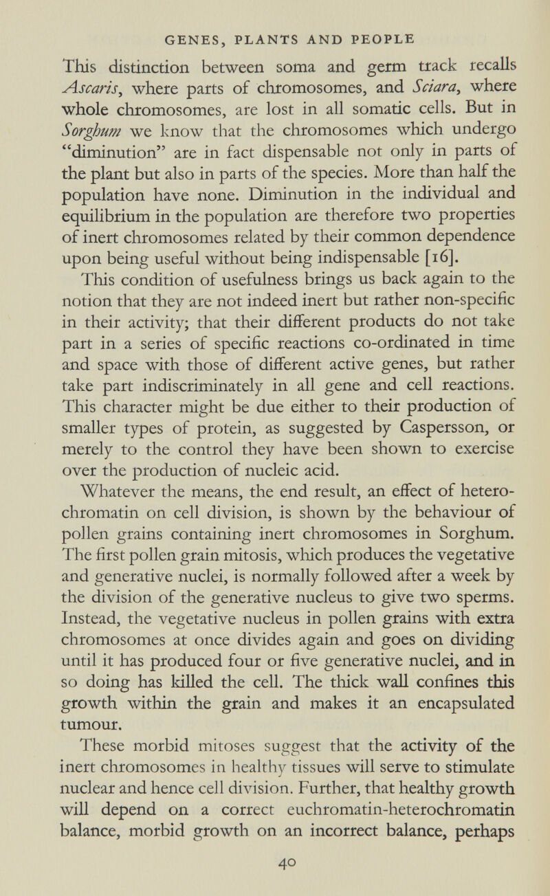 GENES, PLANTS AND PEOPLE This distinction between soma and germ txack recalls Ascaris^ where parts of chromosomes, and Sciara, where whole chromosomes, are lost in all somatic cells. But in Sorghu?n we know that the chromosomes which undergo diminution are in fact dispensable not only in parts of the plant but also in parts of the species. More than half the population have none. Diminution in the individual and equilibrium in the population are therefore two properties of inert chromosomes related by their common dependence upon being useful without being indispensable [16]. This condition of usefulness brings us back again to the notion that they are not indeed inert but rather non-specific in their activity; that their different products do not take part in a series of specific reactions co-ordinated in time and space with those of different active genes, but rather take part indiscriminately in all gene and cell reactions. This character might be due either to their production of smaller types of protein, as suggested by Caspersson, or merely to the control they have been shown to exercise over the production of nucleic acid. Whatever the means, the end result, an effect of hetero- chromatin on cell division, is shown by the behaviour of pollen grains containing inert chromosomes in Sorghum. The first pollen grain mitosis, wliich produces the vegetative and generative nuclei, is normally followed after a week by the division of the generative nucleus to give two sperms. Instead, the vegetative nucleus in pollen grains with extra chromosomes at once divides again and goes on dividing until it has produced four or five generative nuclei, and in so doing has killed the cell. The thick wall confines this growth within the grain and makes it an encapsulated tumour. These morbid mitoses suggest that the activity of the inert chromosomes in healthy tissues will serve to stimulate nuclear and hence cell diл^ision. Further, that healthy growth will depend on a correct euchromatin-heterochromatin balance, morbid growth on an incorrect balance, perhaps 40