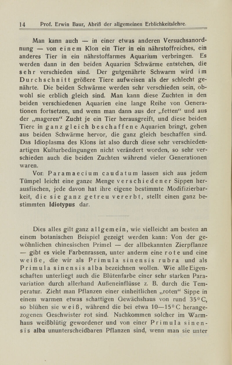 14 Prof. Erwin Baur, Abriß der allgemeinen Erblichkeitslehre. Man kann auch — in einer etwas anderen Versuchsanord¬ nung — von einem Klon ein Tier in ein nährstoffreiches, ein anderes Tier in ein nährstoffarmes Aquarium verbringen. Es werden dann in den beiden Aquarien Schwärme entstehen, die sehr verschieden sind. Der gutgenährte Schwärm wird i m Durchschnitt größere Tiere aufweisen als der schlecht ge¬ nährte. Die beiden Schwärme werden sehr verschieden sein, ob¬ wohl sie erblich gleich sind. Man kann diese Zuchten in den beiden verschiedenen Aquarien eine lange Reihe von Genera¬ tionen fortsetzen, und wenn man dann aus der „fetten und aus der „mageren Zucht je ein Tier herausgreift, und diese beiden Tiere in ganz gleich beschaffene Aquarien bringt, gehen aus beiden Schwärme hervor, die ganz gleich beschaffen sind. Das Idioplasma des Klons ist also durch diese sehr verschieden¬ artigen Kulturbedingungen nicht verändert worden, so sehr ver¬ schieden auch die beiden Zuchten während vieler Generationen waren. Von Paramaecium caudatum lassen sich aus jedem Tümpel leicht eine ganze Menge verschiedener Sippen her¬ ausfischen, jede davon hat ihre eigene bestimmte Modifizierbar¬ keit, die sie ganz getreu vererbt, stellt einen ganz be¬ stimmten Idiotypus dar. Dies alles gilt ganz allgemein, wie vielleicht am besten an einem botanischen Beispiel gezeigt werden kann: Von der ge¬ wöhnlichen chinesischen Primel — der allbekannten Zierpflanze — gibt es viele Farbenrassen, imter anderm eine rote und eine weiße, die wir als Primula sinensis rubra und als Primula sinensis alba bezeichnen wollen. Wie alle Eigen¬ schaften unterliegt auch die Blütenfarbe einer sehr starken Para- variation durch allerhand Außeneinflüsse z. B. durch die Tem¬ peratur. Zieht man Pflanzen einer einheitlichen „roten Sippe in einem warmen etwas schattigen Gewächshaus von rund 35® C, so blühen sie weiß, während die bei etwa 10—15^0 herange¬ zogenen Geschwister rot sind. Nachkommen solcher im Warm¬ haus weißblütig gewordener und von einer Primula sinen¬ sis alba ununterscheidbaren Pflanzen sind, wenn man sie unter