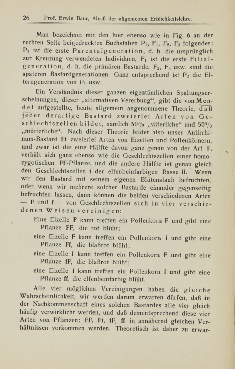 26 Prof. Erwin Baur, Abriß der allgemeinen Erblichkeitslehre. Man bezeichnet mit den hier ebenso wie in Fig. 6 an der rechten Seite beigedruckten Buchstaben Pi, Fi, F2, F3 folgendes: Pi ist die erste Parentalgeneration, d. h. die ursprünglich zur Kreuzung verwendeten Individuen, Fi ist die erste Filial- generation, d. h. die primären Bastarde, F2, F3 usw. sind die späteren Bastardgenerationen. Ganz entsprechend ist P2 die El¬ terngeneration von Pi usw. Ein Verständnis dieser ganzen eigentümlichen Spaltungser¬ scheinungen, dieser ,,alternativen Vererbung, gibt die von Men- d e 1 aufgestellte, heute allgemein angenommene Theorie, daß jeder derartige Bastard zweierlei Arten von Ge¬ schlechtszellen bildet, nämlich 50o/o ,,väterliche und 50% „mütterliche. Nach dieser Theorie bildet also unser Antirrhi¬ num-Bastard Ff zweierlei Arten von Eizellen und Pollenkörnern, und zwar ist die eine Hälfte davon ganz genau von der Art F, verhält sich ganz ebenso wie die Geschlechtszellen einer homo- zygotischen FF-Pflanze, und die andere Hälfte ist genau gleich den Geschlechtszellen f der elfenbeinfarbigen Rasse ff. Wenn wir den Bastard mit seinem eigenen Blütenstaub befruchten, oder wenn wir mehrere solcher Bastarde einander gegenseitig befruchten lassen, dann können die beiden verschiedenen Arten — F und f — von Geschlechtszellen sich in vier verschie¬ denen Weisen vereinigen: Eine Eizelle F kann treffen ein Pollenkorn F und gibt eine Pflanze FF, die rot blüht; eine Eizelle F kann treffen ein Pollenkorn f und gibt eine Pflanze Ff, die blaßrot blüht; eine Eizelle f kann treffen ein Pollenkorn F und gibt eine Pflanze fF, die blaßrot blüht; eine Eizelle f kann treffen ein Pollenkorn f und gibt eine Pflanze ff, die elfenbeinfarbig blüht. Alle vier möglichen Vereinigungen haben die gleiche Wahrscheinlichkeit, wir werden darum erwarten dürfen, daß in der Nachkommenschaft eines solchen Bastardes alle vier gleich häufig verwirklicht werden, und daß dementsprechend diese vier Arten von Pflanzen: FF, Ff, fF, ff in annähernd gleichen Ver¬ hältnissen vorkommen werden. Theoretisch ist daher zu erwar-