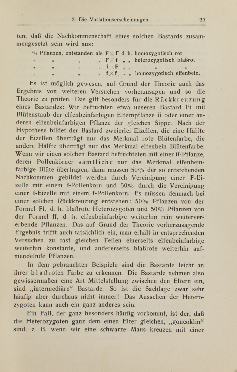 2. Die Variationserscheinungen. 27 ten, daß die Nachkommenschaft eines solchen Bastards zusam¬ mengesetzt sein wird aus: V« Pflanzen, entstanden als FX F d. h. homozygotisch rot » „ „ „FXf„n heterozygotisch blaßrot У1  » »iXF^n „ „ « fxf. . „ homozygotisch elfenbein. Es ist möglich gewesen, auf Grund der Theorie auch das Ergebnis von weiteren Versuchen vorherzusagen und so die Theorie zu prüfen. Das gilt besonders für die Rückkreuzung eines Bastardes: Wir befruchten etwa unseren Bastard Ff mit Blütenstaub der elfenbeinfarbigen Elternpflanze ff oder einer an¬ deren elfenbeinfarbigen Pflanze der gleichen Sippe. Nach der Hypothese bildet der Bastard zweierlei Eizellen, die eine Hälfte der Eizellen überträgt nur das Merkmal rote Blütenfarbe, die andere Hälfte überträgt nur das Merkmal elfenbein Blütenfarbe. Wenn wir einen solchen Bastard befruchteten mit einer ff-Pflanze, deren Pollenkörner sämtliche nur das Merkmal elfenbein¬ farbige Blüte übertragen, dann müssen 50o/o der so entstehenden Nachkommen gebildet werden durch Vereinigung einer F-Ei- zelle mit einem f-Pollenkorn und 50o/o durch die Vereinigung einer f-Eizelle mit einem f-Pollenkorn. Es müssen demnach bei einer solchen Rückkreuzung entstehen : 50o/o Pflanzen von der Formel Ff, d. h. blaßrote Heterozygoten und 50o/o Pflanzen von der Formel ff, d. h. elfenbeinfarbige weiterhin rein weiterver¬ erbende Pflanzen. Das auf Grund der Theorie vorherzusagende Ergebnis trifft auch tatsächlich ein, man erhält in entsprechenden Versuchen zu fast gleichen Teilen einerseits elfenbeinfarbige weiterhin konstante, und andererseits blaßrote weiterhin auf- mendelnde Pflanzen. In dem gebrauchten Beispiele sind die Bastarde leicht an ihrer blaß roten Farbe zu erkennen. Die Bastarde nehmen also gewissermaßen eine Art Mittelstellung zwischen den Eltern ein, sind „intermediäre Bastarde. So ist die Sachlage zwar sehr häufig aber durchaus nicht immer! Das Aussehen der Hetero¬ zygoten kann auch ein ganz anderes sein. Ein Fall, der ganz besonders häufig vorkommt, ist der, daß die Heterozygoten ganz dem einen Elter gleichen, „goneoklin sind, z. B. wenn wir eine schwarze Maus kreuzen mit einer