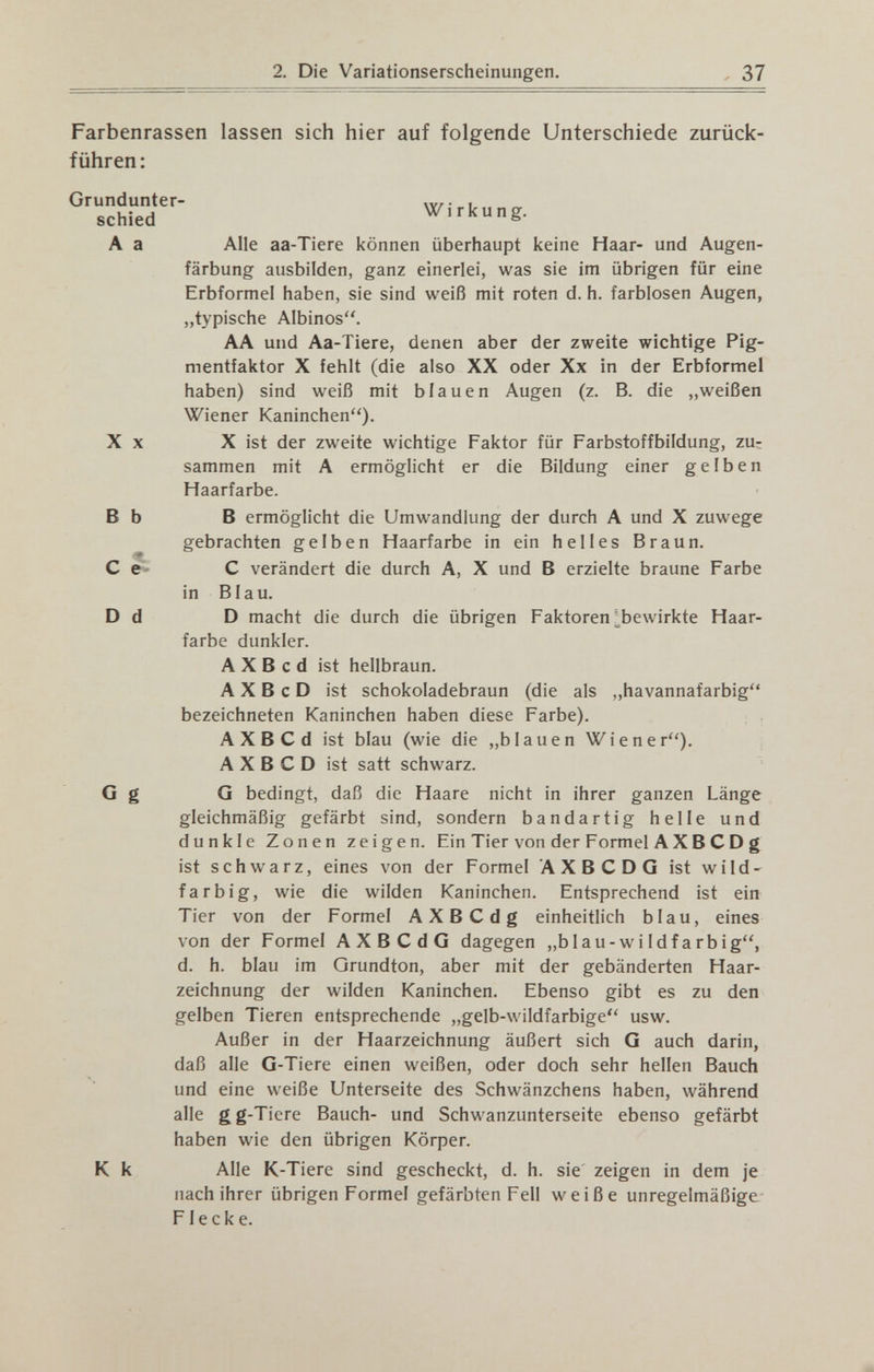 2. Die Variationserscheinungen. Farbenrassen lassen sich hier auf folgende Unterschiede zurück¬ führen: Grundunter- wr • , schied Wirkung. A a Alle aa-Tiere können überhaupt keine Haar- und Augen¬ färbung ausbilden, ganz einerlei, was sie im übrigen für eine Erbforme! haben, sie sind weiß mit roten d. h. farblosen Augen, „typische Albinos. AA und Aa-Tiere, denen aber der zweite wichtige Pig¬ mentfaktor X fehlt (die also XX oder Xx in der Erbiormel haben) sind weiß mit blauen Augen (z. B. die „weißen Wiener Kaninchen). X X X ist der zweite wichtige Faktor für Farbstoffbildung, zu¬ sammen mit A ermöglicht er die Bildung einer gelben Haarfarbe. В b В ermöglicht die Umwandlung der durch А und X zuwege gebrachten gelben Haarfarbe in ein helles Braun. С e- С verändert die durch A, X und В erzielte braune Farbe in Blau. D d D macht die durch die übrigen Faktoren ^bewirkte Haar¬ farbe dunkler. А X В с d ist hellbraun. А X В с D ist schokoladebraun (die als „havannafarbig bezeichneten Kaninchen haben diese Farbe). AXBCd ist blau (wie die „blauen Wiener). А X В С D ist satt schwarz. G g G bedingt, daß die Haare nicht in ihrer ganzen Länge gleichmäßig gefärbt sind, sondern bandartig helle und dunkle Zonen zeigen. Ein Tier von der Formel AXBСD g ist schwarz, eines von der Formel AXBCD G ist wild- farbig, wie die wilden Kaninchen. Entsprechend ist ein Tier von der Formel AXBCdg einheitlich blau, eines von der Formel AXBCdG dagegen „blau-w i Idf arbig, d. h. blau im Grundton, aber mit der gebänderten Haar¬ zeichnung der wilden Kaninchen. Ebenso gibt es zu den gelben Tieren entsprechende „gelb-wildfarbige usw. Außer in der Haarzeichnung äußert sich G auch darin, daß alle G-Tiere einen weißen, oder doch sehr hellen Bauch und eine weiße Unterseite des Schwänzchens haben, während alle gg-Tiere Bauch- und Schwanzunterseite ebenso gefärbt haben wie den übrigen Körper. К к Alle K-Tiere sind gescheckt, d. h. sie' zeigen in dem je nach ihrer übrigen Formel gefärbten Fell weiße unregelmäßige- Flecke.