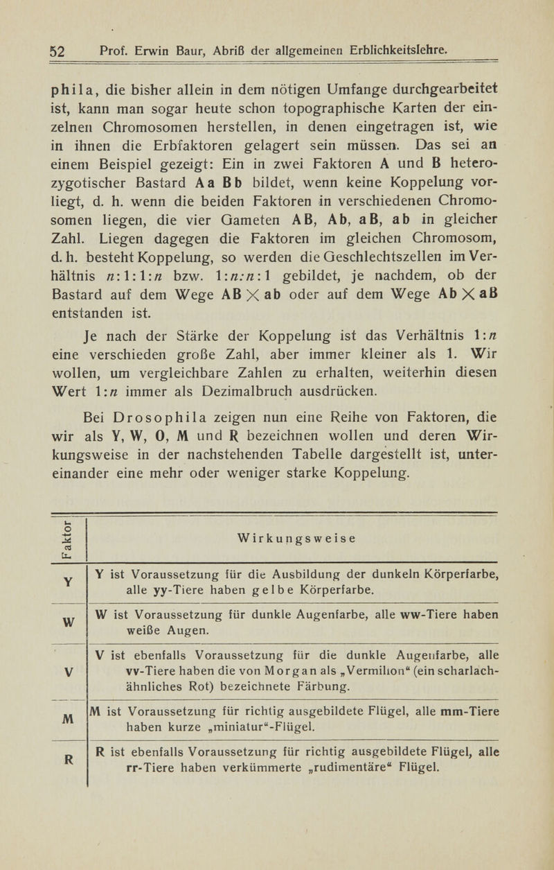 52 Prof. Erwin Baur, Abriß der allgemeinen Erblichkeitslehre. phila, die bisher allein in dem nötigen Umfange durchgearbeitet ist, kann man sogar heute schon topographische Karten der ein¬ zelnen Chromosomen herstellen, in denen eingetragen ist, wie in ihnen die Erbfaktoren gelagert sein müssen. Das sei an einem Beispiel gezeigt: Ein in zwei Faktoren A und В hetero- zygotischer Bastard Aa Bb bildet, wenn keine Koppelung vor¬ liegt, d. h. wenn die beiden Faktoren in verschiedenen Chromo¬ somen liegen, die vier Gameten AB, Ab, аВ, ab in gleicher Zahl. Liegen dagegen die Faktoren im gleichen Chromosom, d.h. besteht Koppelung, so werden die Geschlechtszellen im Ver¬ hältnis n\\\\\n bzw. \\n:n\\ gebildet, je nachdem, ob der Bastard auf dem Wege AB X ab oder auf dem Wege AbXaß entstanden ist. Je nach der Stärke der Koppelung ist das Verhältnis 1:« eine verschieden große Zahl, aber immer kleiner als 1. Wir wollen, um vergleichbare Zahlen zu erhalten, weiterhin diesen Wert \'.n immer als Dezimalbruch ausdrücken. Bei Drosophila zeigen nun eine Reihe von Faktoren, die wir als Y, W, 0, M und R bezeichnen wollen und deren Wir¬ kungsweise in der nachstehenden Tabelle dargestellt ist, unter¬ einander eine mehr oder weniger starke Koppelung.