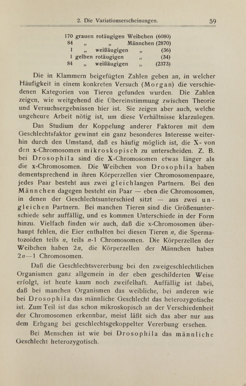 2. Die Variationserscheinungen. 59 170 grauen rotäugigen Weibchen (6080) 84 „ „ Männchen (2870) 1 „ weißäugigen „ (36) 1 gelben rotäugigen „ (34) 84 „ weißäugigen „ (2373) Die in Klammern beigefügten Zahlen geben an, in welcher Häufigkeit in einem konkreten Versuch (Morgan) die verschie¬ denen Kategorien von Tieren gefunden wurden. Die Zahlen zeigen, wie weitgehend die Übereinstimmung zwischen Theorie und Versuchsergebnissen hier ist. Sie zeigen aber auch, welche ungeheure Arbeit nötig ist, um diese Verhältnisse klarzulegen. Das Studium der Koppelung anderer Faktoren mit dem Geschlechtsfaktor gewinnt ein ganz besonderes Interesse weiter¬ hin durch den Umstand, daß es häufig möglich ist, die X- von den X-Chromosomen mikroskopisch zu unterscheiden. Z, B. bei Drosophila sind die X-Chromosomen etwas länger als die X-Chromosomen. Die Weibchen von Drosophila haben dementsprechend in ihren Körperzellen vier Chromosomenpaare, jedes Paar besteht aus zwei gl eich langen Partnern. Bei den Männchen dagegen besteht ein Paar — eben die Chromosomen, in denen der Geschlechtsunterschied sitzt — aus zwei un¬ gleichen Partnern. Bei manchen Tieren sind die Größenunter¬ schiede sehr auffällig, und es kommen Unterschiede in der Form hinzu. Vielfach finden wir auch, daß die x-Chromosomen über¬ haupt fehlen, die Eier enthalten bei diesen Tieren n, die Sperma- tozoiden teils n, teils n-\ Chromosomen. Die Körperzellen der Weibchen haben 2/г, die Körperzellen der Männchen haben 2n—1 Chromosomen. Daß die Geschlechtsvererbung bei den zweigeschlechtlichen Organismen ganz allgemein in der eben geschilderten Weise erfolgt, ist heute kaum noch zweifelhaft. Auffällig ist dabei, daß bei manchen Organismen das weibliche, bei anderen wie bei Drosophila das männliche Geschlecht das heterozygotische ist. Zum Teil ist das schon mikroskopisch an der Verschiedenheit der Chromosomen erkennbar, meist läßt sich das aber nur aus dem Erbgang bei geschlechtsgekoppelter Vererbung ersehen. Bei Menschen ist wie bei Drosophila das männliche Geschlecht heterozygotisch.