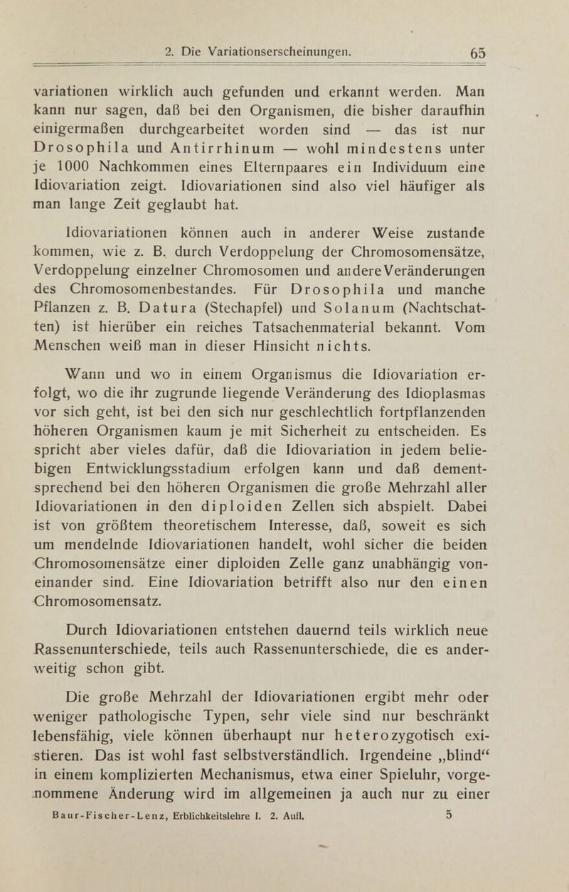 2. Die Variationserscheinungen. 55 Variationen wirklich auch gefunden und erkannt werden. Man kann nur sagen, daß bei den Organismen, die bisher daraufhin einigermaßen durchgearbeitet worden sind — das ist nur Drosophila und Antirrhinum — wohl mindestens unter je 1000 Nachkommen eines Elternpaares ein Individuum eine Idiovariation zeigt. Idiovariationen sind also viel häufiger als man lange Zeit geglaubt hat. Idiovariationen können auch in anderer Weise zustande kommen, wie z. B, durch Verdoppelung der Chromosomensätze, Verdoppelung einzelner Chromosomen und andere Veränderungen des Chromosomenbestandes. Für Drosophila und manche Pflanzen z, B. Datura (Stechapfel) und Solanum (Nachtschat¬ ten) ist hierüber ein reiches Tatsachenmaterial bekannt. Vom Menschen weiß man in dieser Hinsicht nichts. Wann und wo in einem Organismus die Idiovariation er¬ folgt, wo die ihr zugrunde liegende Veränderung des Idioplasmas vor sich geht, ist bei den sich nur geschlechtlich fortpflanzenden höheren Organismen kaum je mit Sicherheit zu entscheiden. Es spricht aber vieles dafür, daß die Idiovariation in jedem belie¬ bigen Entwicklungsstadium erfolgen kann und daß dement¬ sprechend bei den höheren Organismen die große Mehrzahl aller Idiovariationen in den diploid en Zellen sich abspielt. Dabei ist von größtem theoretischem Interesse, daß, soweit es sich um mendelnde Idiovariationen handelt, wohl sicher die beiden Chromosomensätze einer diploiden Zelle ganz unabhängig von¬ einander sind. Eine Idiovariation betrifft also nur den einen Chromosomensatz. Durch Idiovariationen entstehen dauernd teils wirklich neue Rassenunterschiede, teils auch Rassenunterschiede, die es ander¬ weitig schon gibt. Die große Mehrzahl der Idiovariationen ergibt mehr oder weniger pathologische Typen, sehr viele sind nur beschränkt lebensfähig, viele können überhaupt nur h e t e r о zygotisch exi¬ stieren. Das ist wohl fast selbstverständlich. Irgendeine „blind in einem komplizierten Mechanismus, etwa einer Spieluhr, vorge¬ kommene Änderung wird im allgemeinen ja auch nur zu einer Baur-Fischer-Lenz, Erblichkeitslehre I. 2. AufU 5