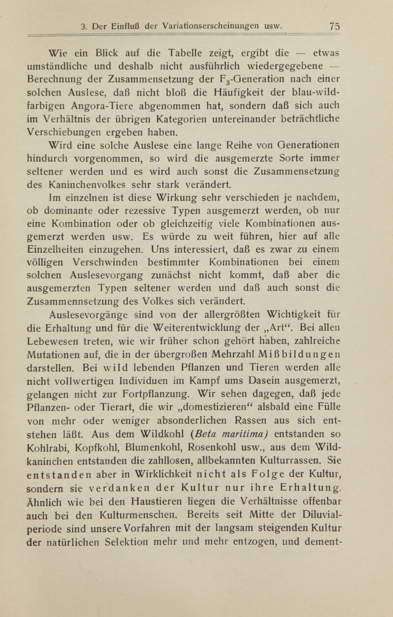 3. Der Einfluß der Variatioiiserscheinungen usw. 75 Wie ein Blick auf die Tabelle zeigt, ergibt die — etwas umständliche und deshalb nicht ausführlich wiedergegebene — Berechnung der Zusammensetzung der Fg-Generation nach einer solchen Auslese, daß nicht bloß die Häufigkeit der blau-wild¬ farbigen Angora-Tiere abgenommen hat, sondern daß sich auch im Verhältnis der übrigen Kategorien untereinander beträchtliche Verschiebungen ergeben haben. Wird eine solche Auslese eine lange Reihe von Generationen hindurch vorgenommen, so wird die ausgemerzte Sorte immer seltener werden und es wird auch sonst die Zusammensetzung des Kaninchenvolkes sehr stark verändert. Im einzelnen ist diese Wirkung sehr verschieden je nachdem, ob dominante oder rezessive Typen ausgemerzt werden, ob nur eine Kombination oder ob gleichzeitig viele Kombinationen aus¬ gemerzt werden usw. Es würde zu weit führen, hier auf alle Einzelheiten einzugehen. Uns interessiert, daß es zwar zu einem völligen Verschwinden bestimmter Kombinationen bei einem solchen Auslesevorgang zunächst nicht kommt, daß aber die ausgemerzten Typen seltener werden und daß auch sonst die Zusammennsetzung des Volkes sich verändert. Auslesevorgänge sind von der allergrößten Wichtigkeit für die Erhaltung und für die Weiterentwicklung der „Art. Bei allen Lebewesen treten, wie wir früher schon gehört haben, zahlreiche Mutationen auf, die in der übergroßen Mehrzahl Mißbildungen darstellen. Bei wild lebenden Pflanzen und Tieren werden alle nicht vollwertigen Individuen im Kampf ums Dasein ausgemerzt, gelangen nicht zur Fortpflanzung. Wir sehen dagegen, daß jede Pflanzen- oder Tierart, die wir „domestizieren alsbald eine Fülle von me,hr oder weniger absonderlichen Rassen aus sich ent¬ stehen läßt. Aus dem Wildkohl {Beta maritima) entstanden so Kohlrabi, Kopfkohl, Blumenkohl, Rosenkohl usw., aus dem Wild¬ kaninchen entstanden die zahllosen, allbekannten Kulturrassen. Sie entstanden aber in Wirklichkeit nicht als Folge der Kultur, sondern sie verdanken der Kultur nur ihre Erhaltung. Ähnlich wie bei den Haustieren liegen die Verhältnisse offenbar auch bei den Kulturmenschen. Bereits seit Mitte der Diluvial¬ periode sind unsere Vorfahren mit der langsam steigenden Kultur der natürlichen Selektion mehr und mehr entzogen, und dement-