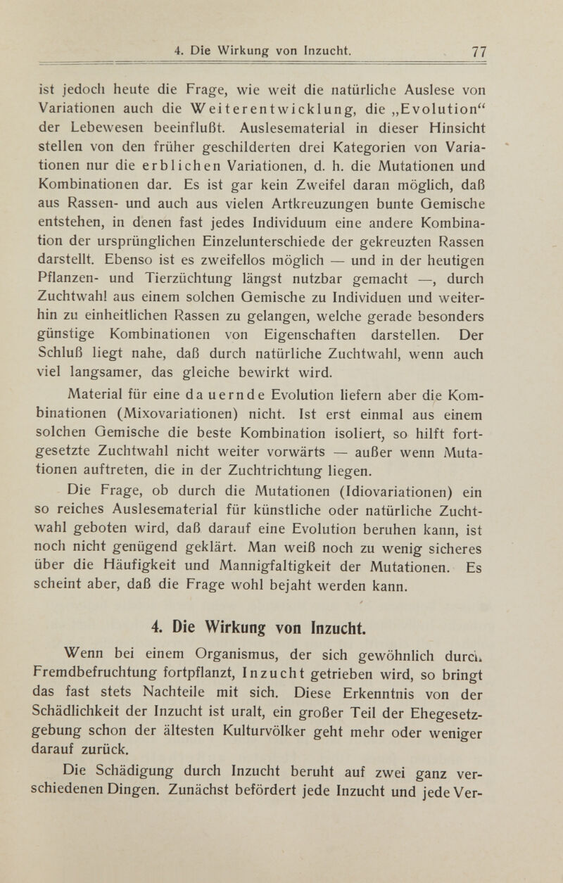 77 ist jedoch heute die Frage, wie weit die natürliche Auslese von Variationen auch die Weiterentwicklung, die „Evolution der Lebewesen beeinflußt. Auslesematerial in dieser Hinsicht stellen von den früher geschilderten drei Kategorien von Varia¬ tionen nur die erblichen Variationen, d. h, die Mutationen und Kombinationen dar. Es ist gar kein Zweifel daran möglich, daß aus Rassen- und auch aus vielen Artkreuzungen bunte Gemische entstehen, in denen fast jedes Individuum eine andere Kombina¬ tion der ursprünglichen Einzelunterschiede der gekreuzten Rassen darstellt. Ebenso ist es zweifellos möglich — und in der heutigen Pflanzen- und Tierzüchtung längst nutzbar gemacht —, durch Zuchtwahl aus einem solchen Gemische zu Individuen und weiter¬ hin zu einheitUchen Rassen zu gelangen, welche gerade besonders günstige Kombinationen von Eigenschaften darstellen. Der Schluß liegt nahe, daß durch natürliche Zuchtwahl, wenn auch viel langsamer, das gleiche bewirkt wird. Material für eine da uernde Evolution liefern aber die Kom¬ binationen (Mixovariationen) nicht. Ist erst einmal aus einem solchen Gemische die beste Kombination isoliert, so hilft fort¬ gesetzte Zuchtwahl nicht weiter vorwärts — außer wenn Muta¬ tionen auftreten, die in der Zuchtrichtung liegen. Die Frage, ob durch die Mutationen (Idiovariationen) ein so reiches Auslesematerial für künstliche oder natürliche Zucht¬ wahl geboten wird, daß darauf eine Evolution beruhen kann, ist noch nicht genügend geklärt. Man weiß noch zu wenig sicheres über die Häufigkeit und Mannigfaltigkeit der Mutationen, Es scheint aber, daß die Frage wohl bejaht werden kann. 4. Die Wirkung von Inzucht. Wenn bei einem Organismus, der sich gewöhnlich durcL Fremdbefruchtung fortpflanzt, Inzucht getrieben wird, so bringt das fast stets Nachteile mit sich. Diese Erkenntnis von der Schädlichkeit der Inzucht ist uralt, ein großer Teil der Ehegesetz¬ gebung schon der ältesten Kulturvölker geht mehr oder weniger darauf zurück. Die Schädigung durch Inzucht beruht auf zwei ganz ver¬ schiedenen Dingen. Zunächst befördert jede Inzucht und jede Ver-